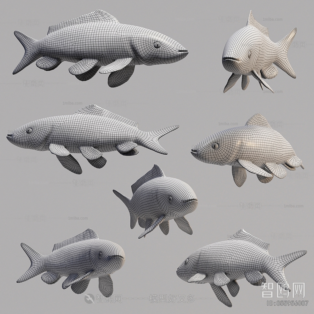 Modern Aquatic Animals