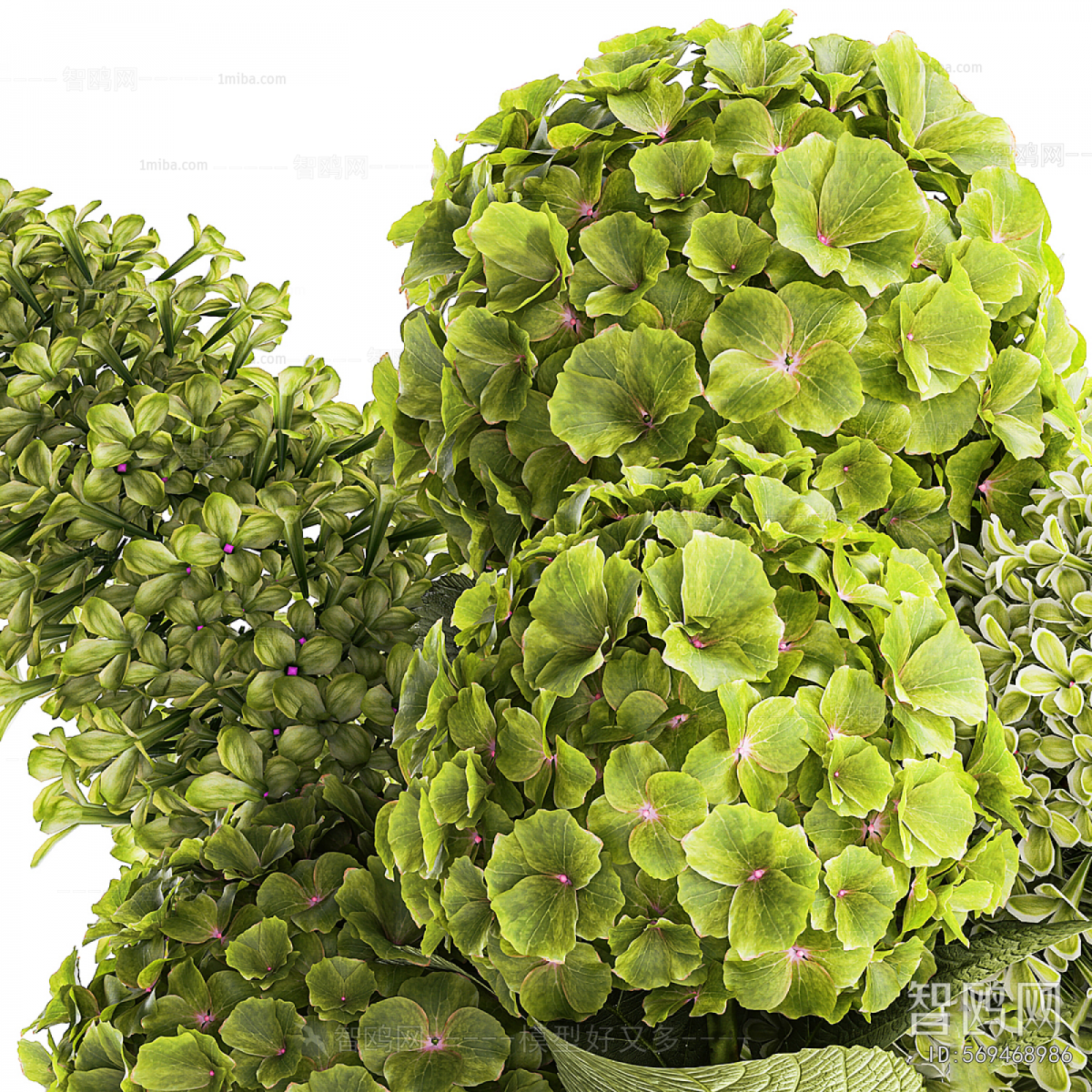 Modern Flower Arrangement