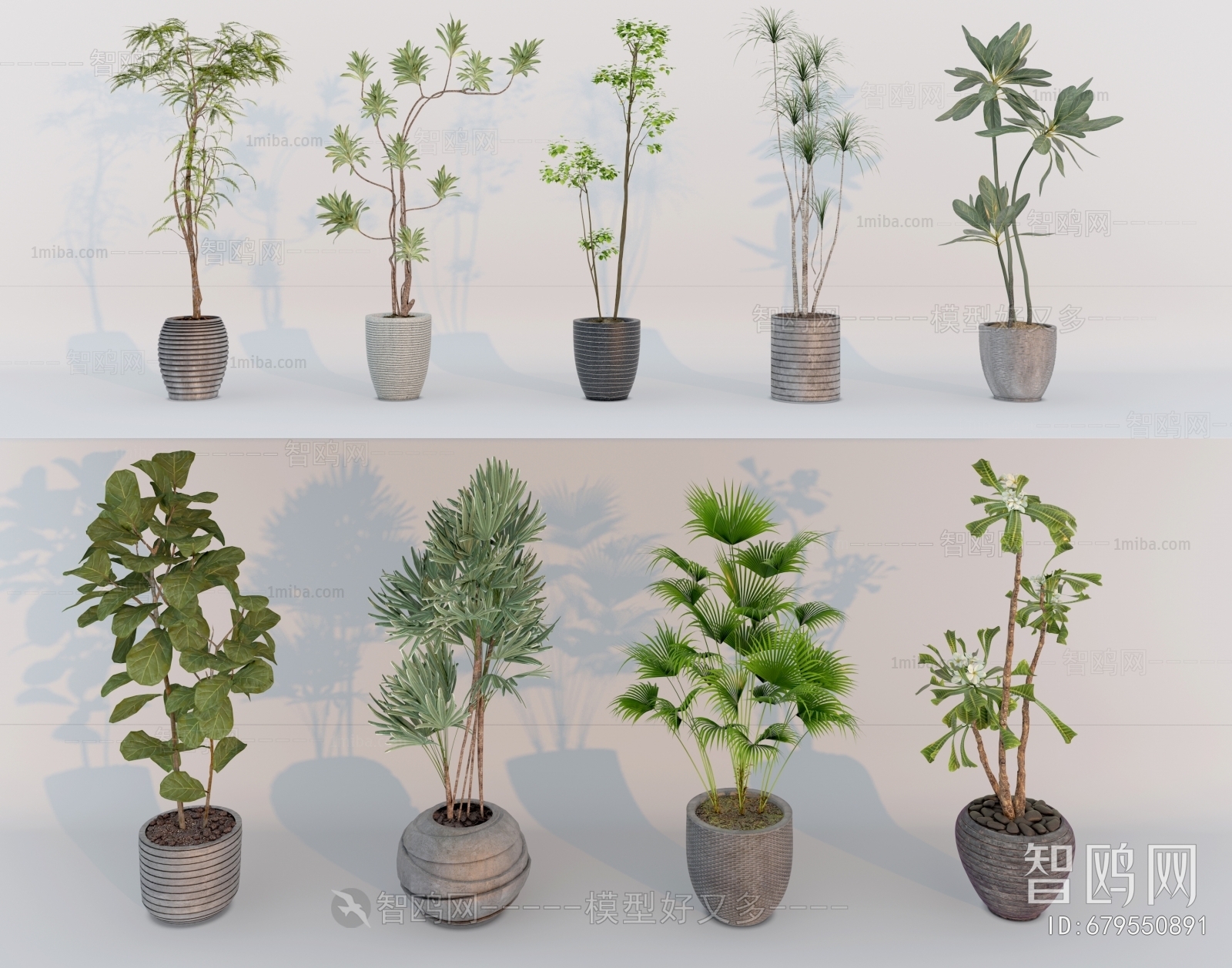 Modern Ground Green Plant Potted Plants