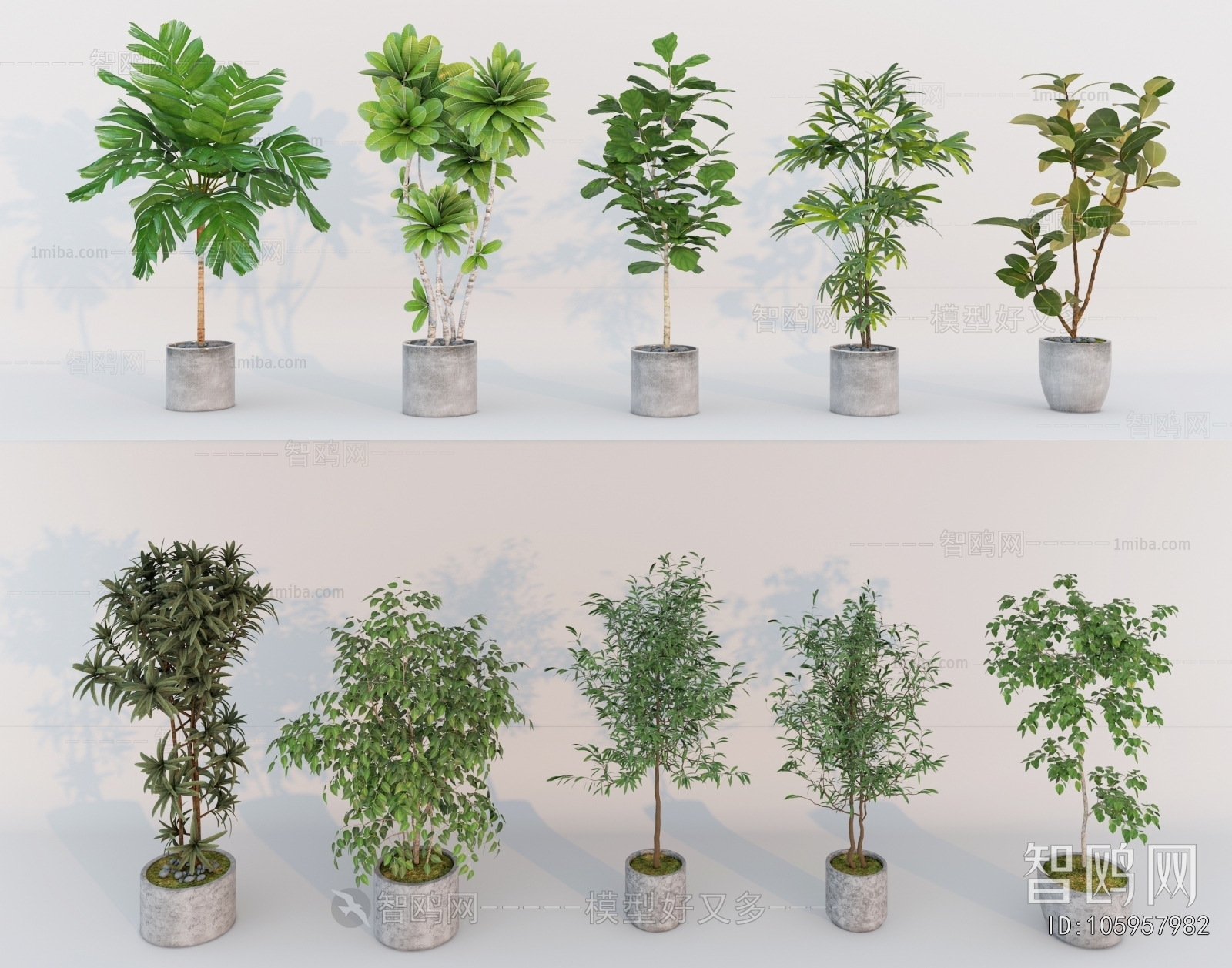 Modern Ground Green Plant Potted Plants