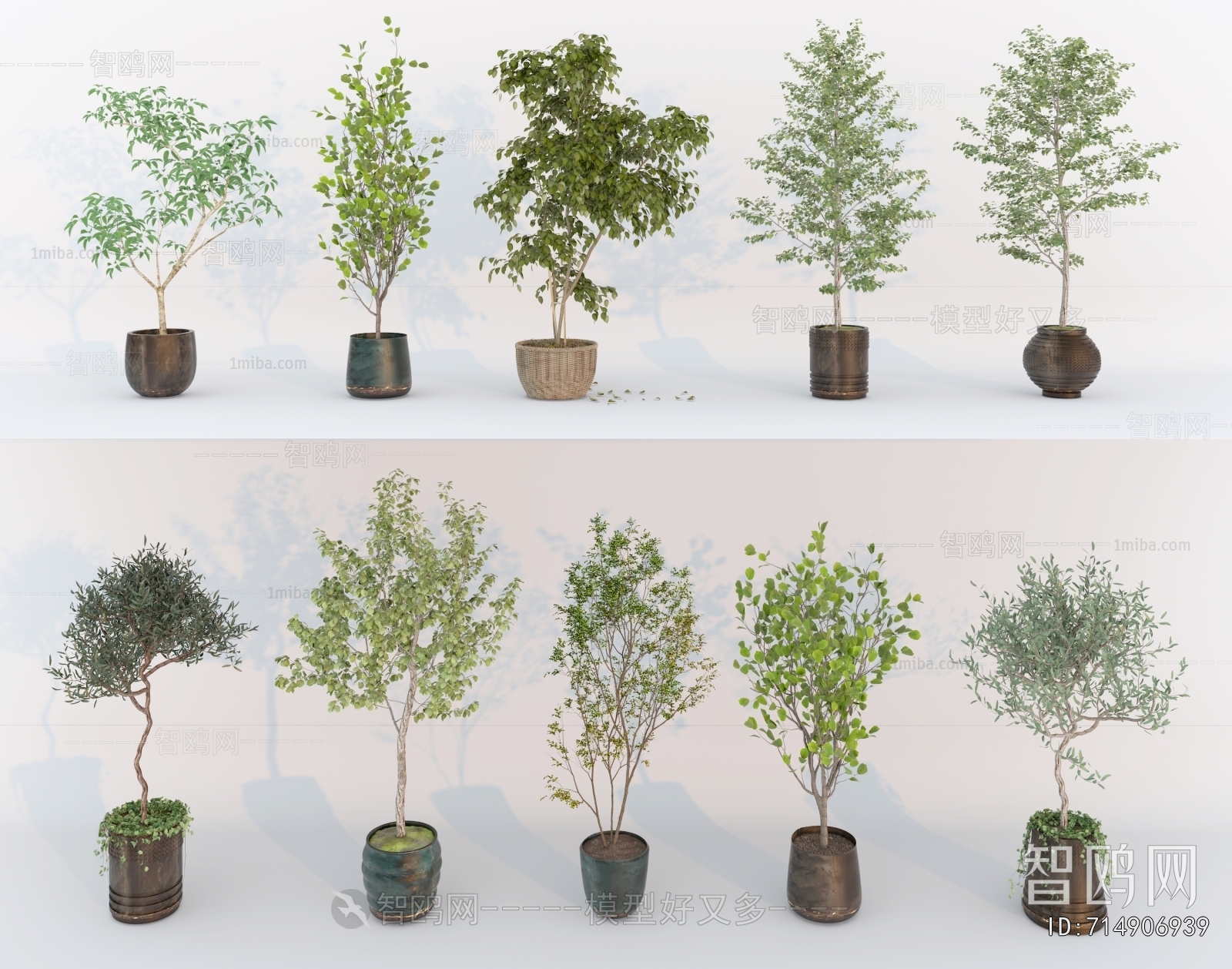 Modern Ground Green Plant Potted Plants