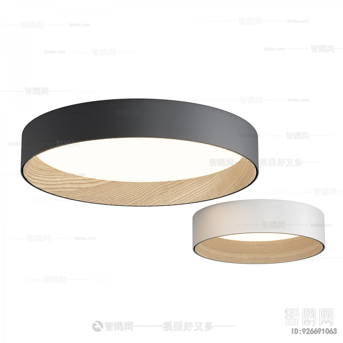 Modern Ceiling Ceiling Lamp