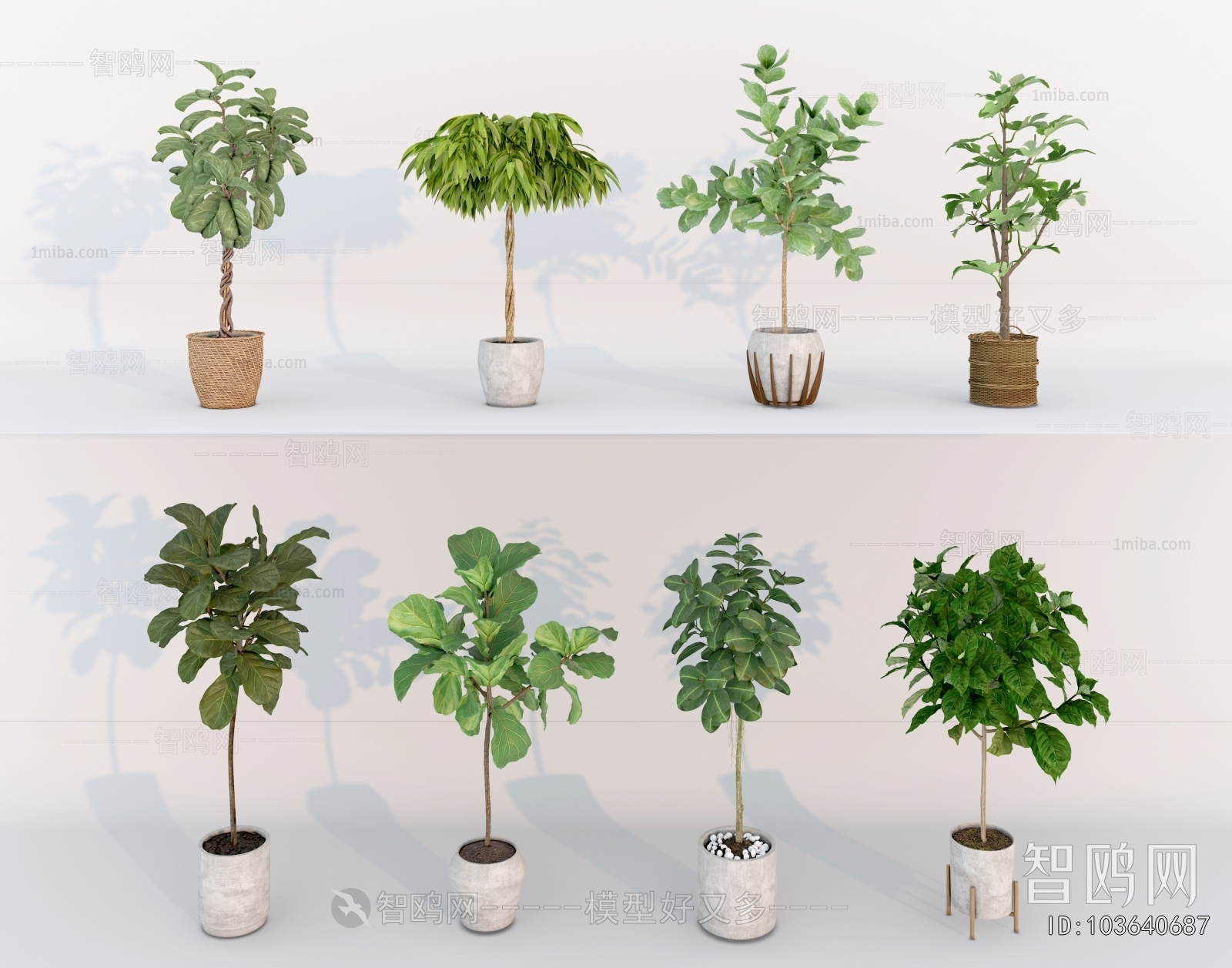 Modern Ground Green Plant Potted Plants