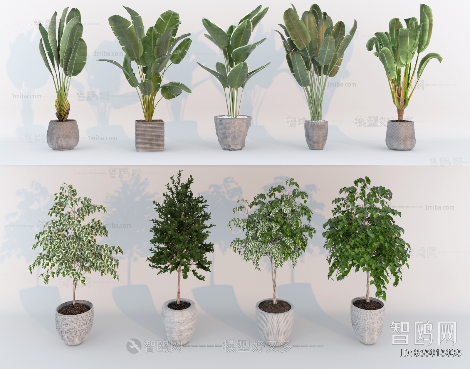 Modern Ground Green Plant Potted Plants