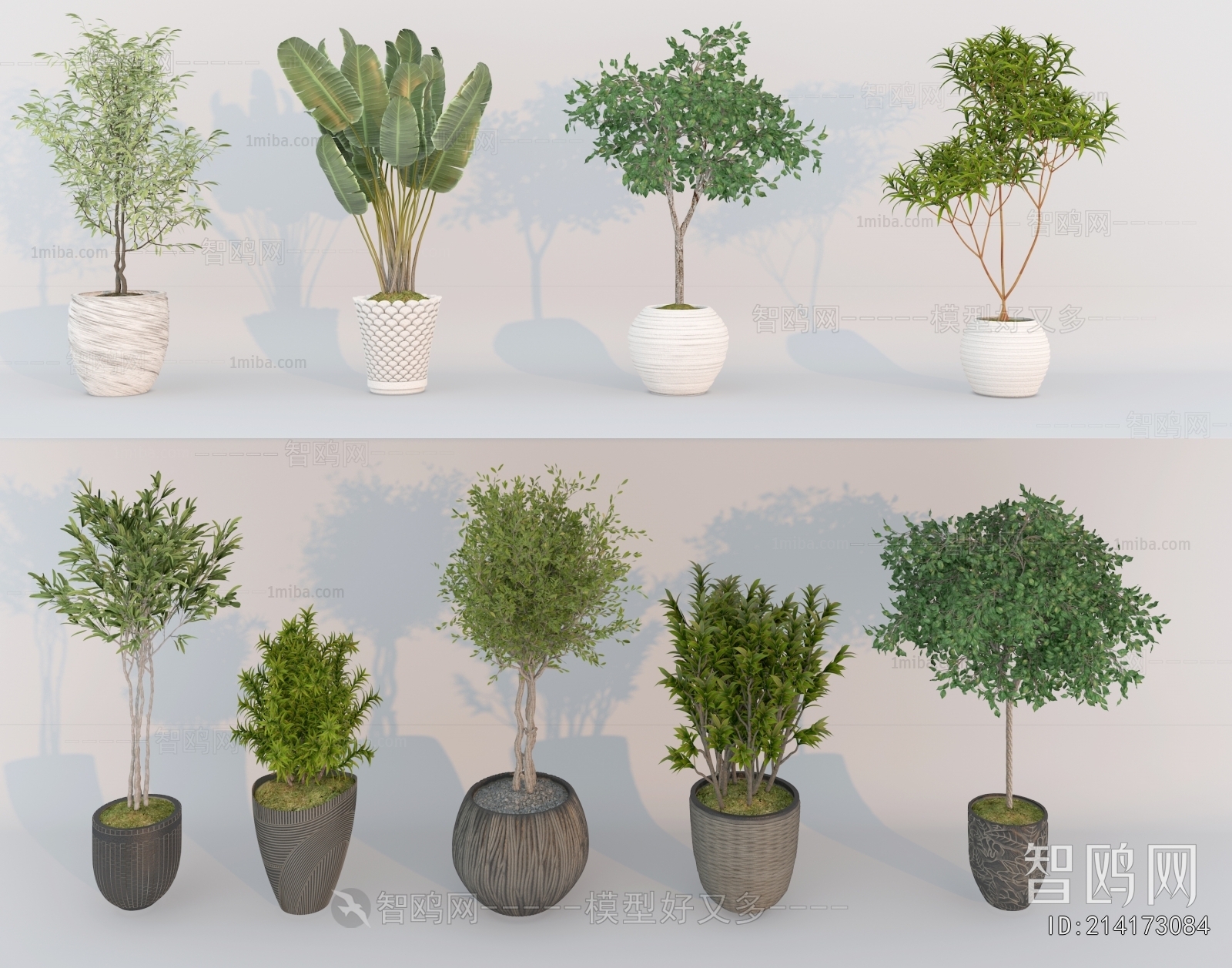 Modern Ground Green Plant Potted Plants
