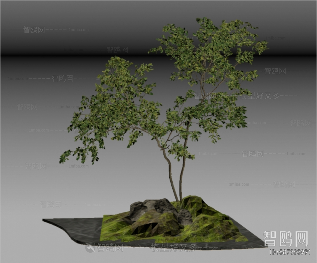 Modern Plant Landscaping