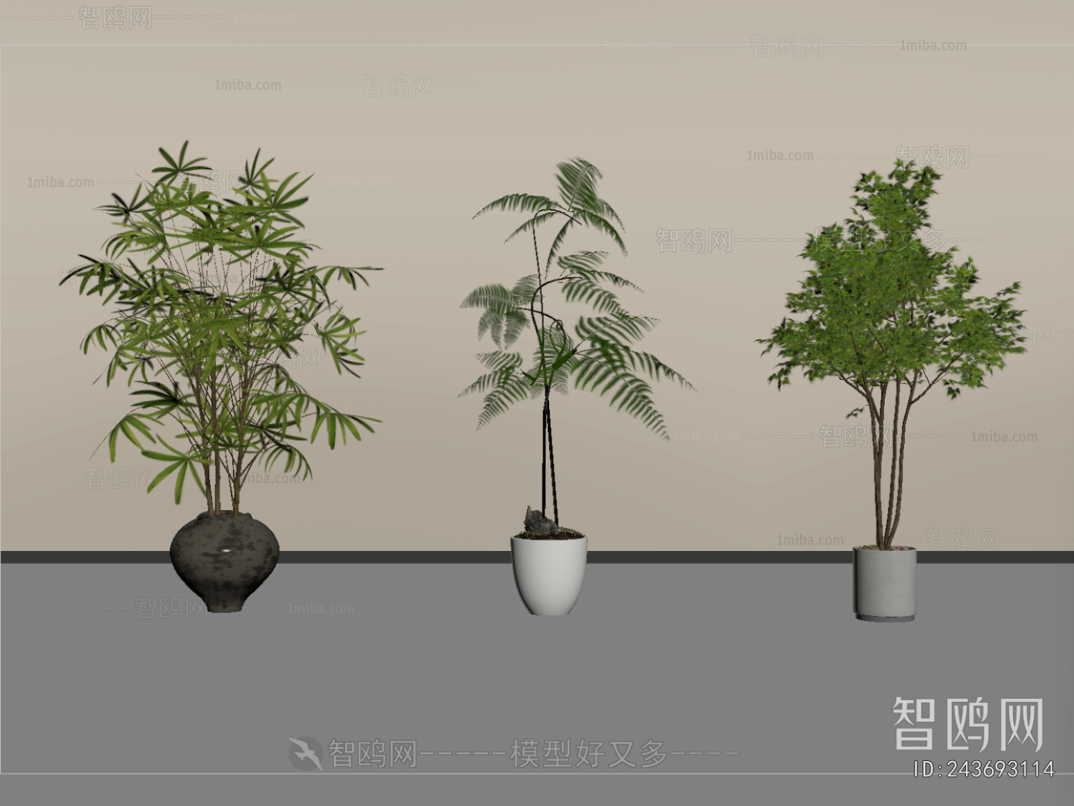 Modern Ground Green Plant Potted Plants