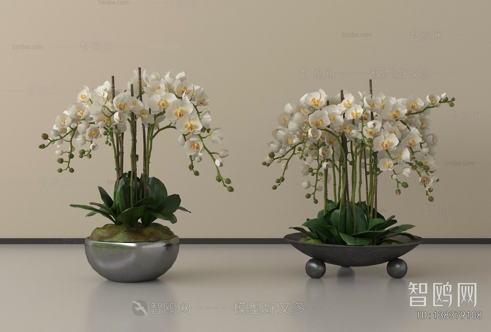 Modern Potted Green Plant