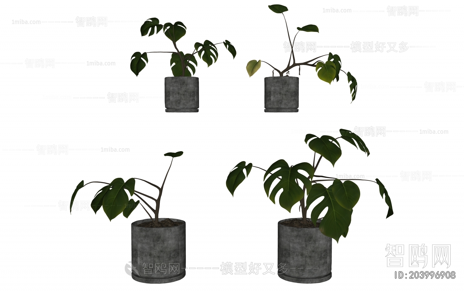 Modern Potted Green Plant