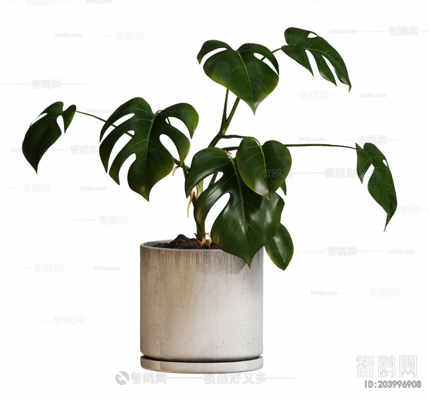 Modern Potted Green Plant