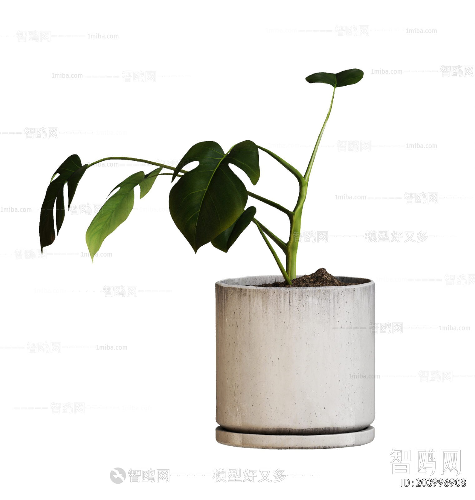 Modern Potted Green Plant