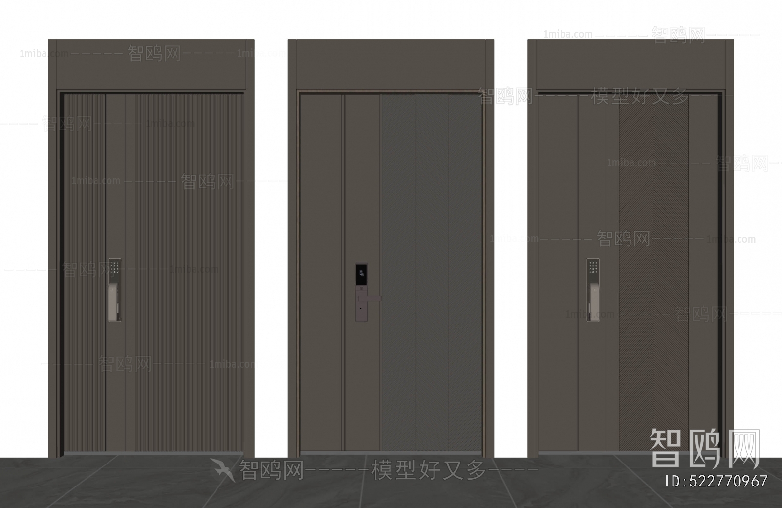 Modern Entrance Door