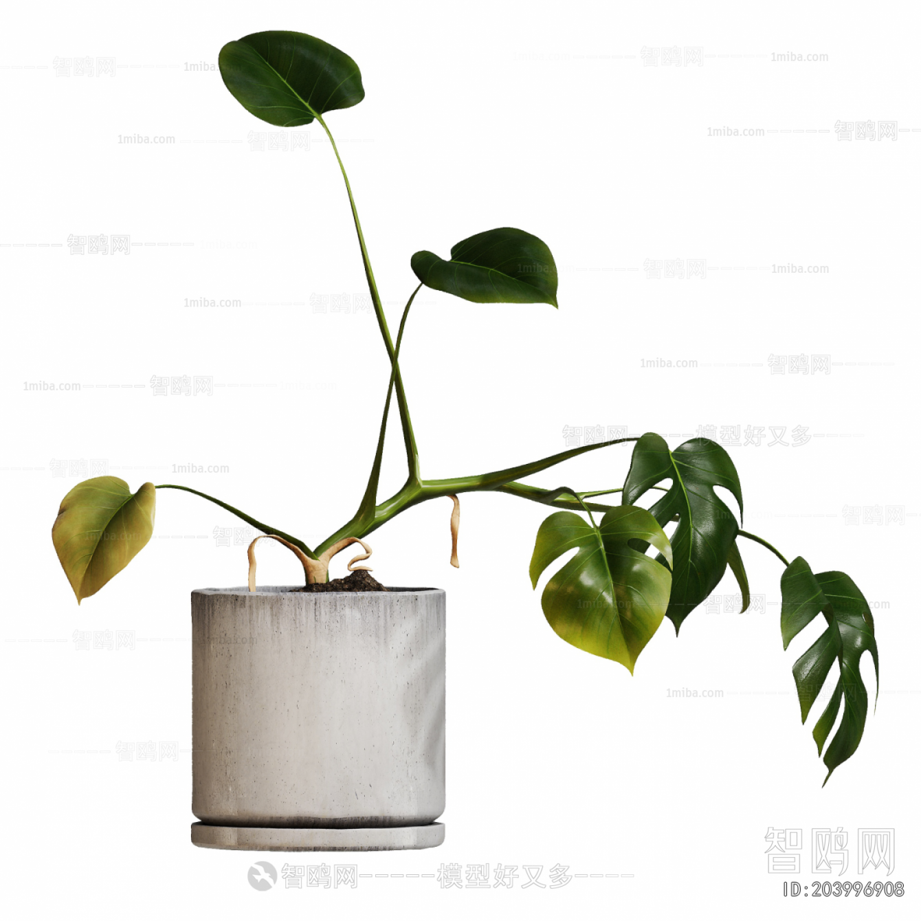 Modern Potted Green Plant