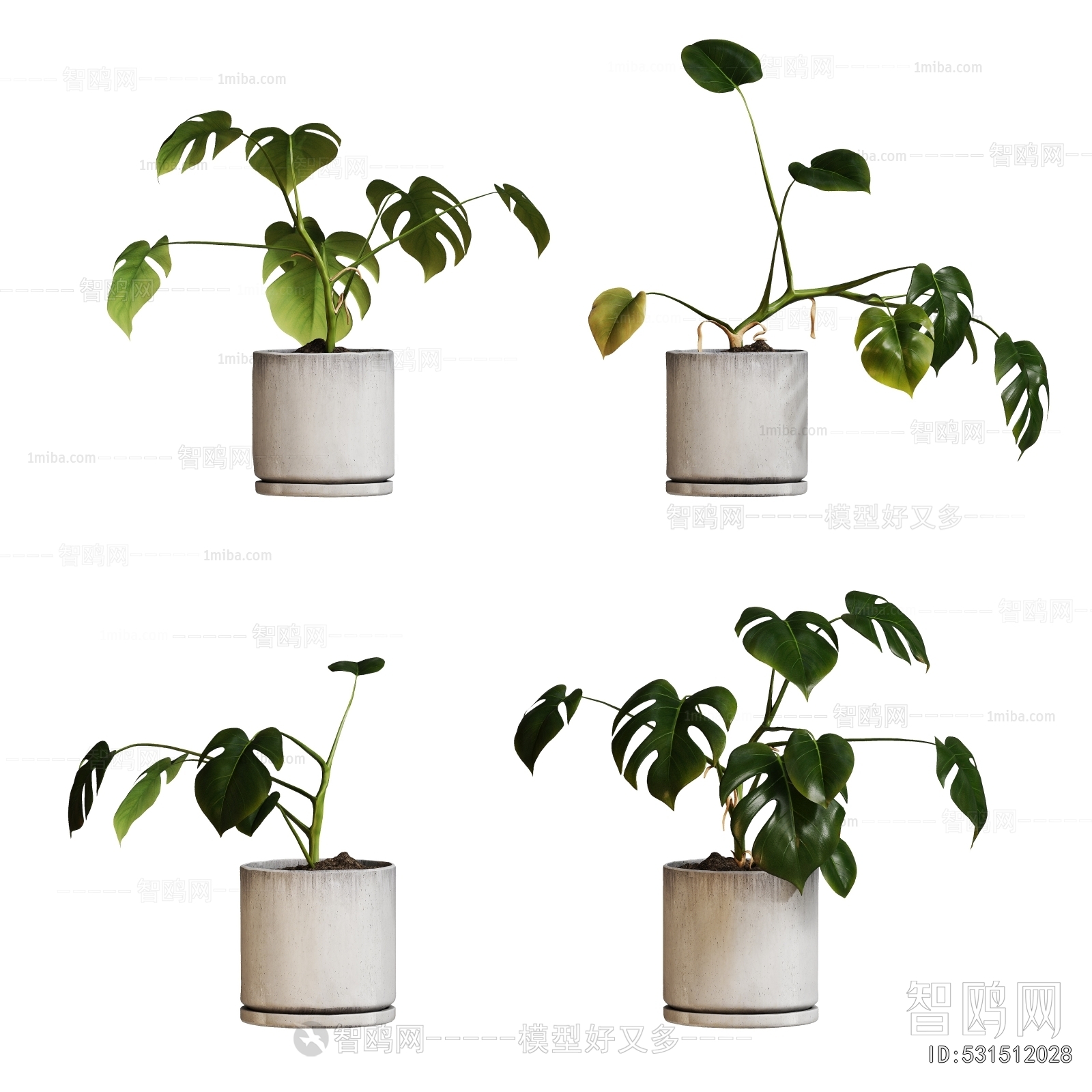 Modern Potted Green Plant