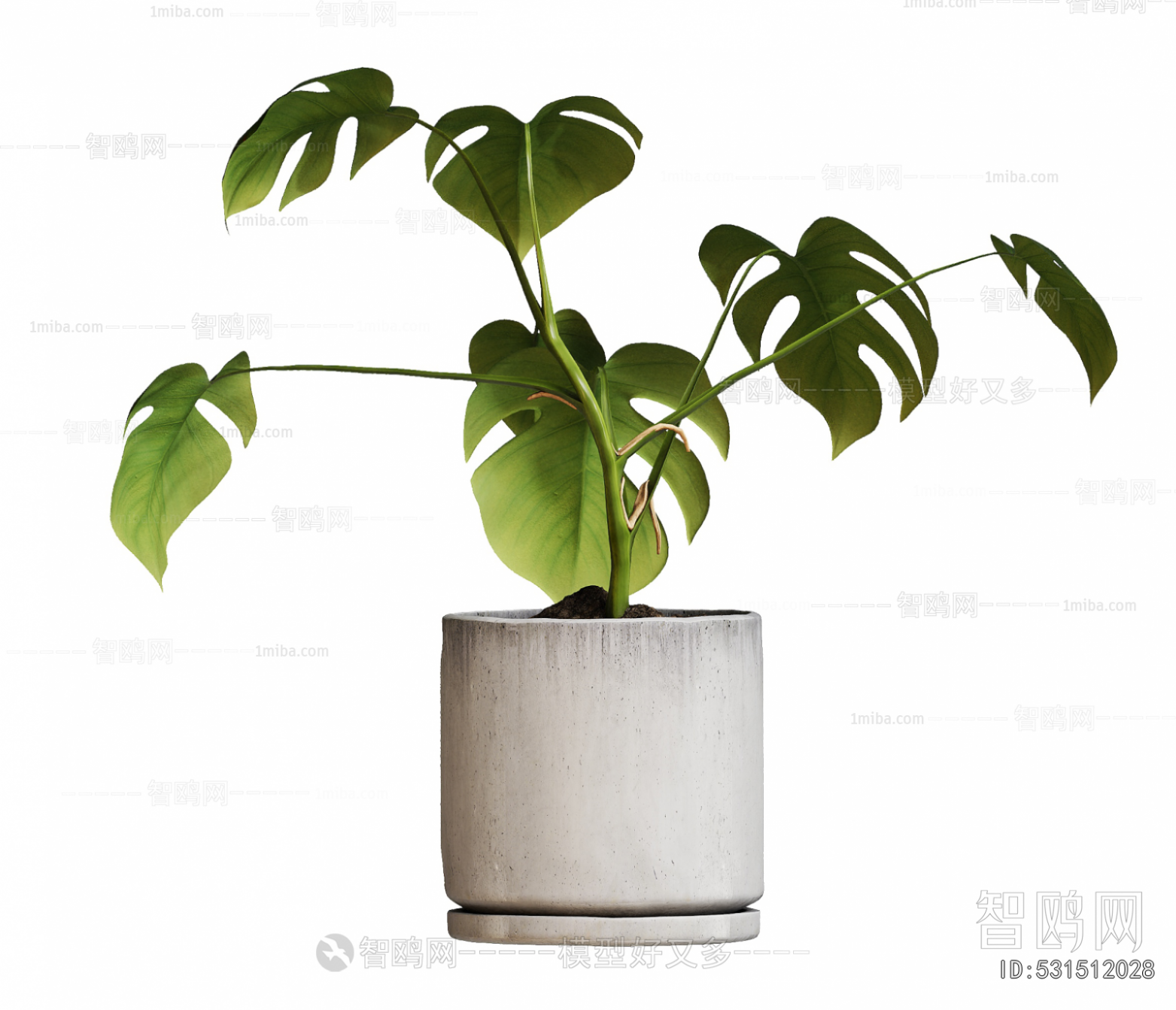 Modern Potted Green Plant