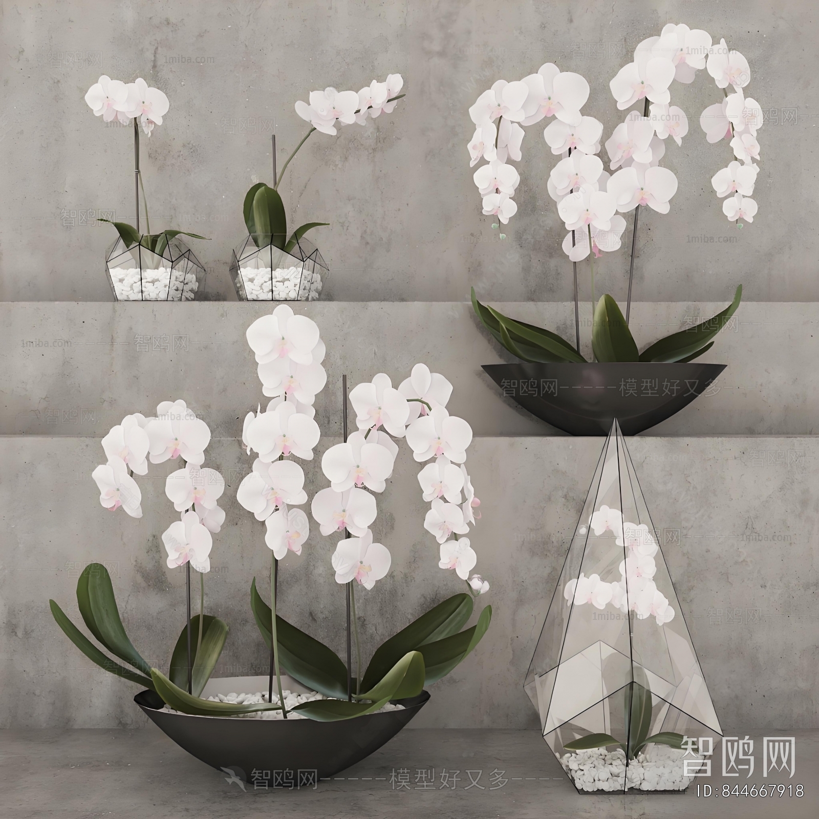 Modern Potted Green Plant