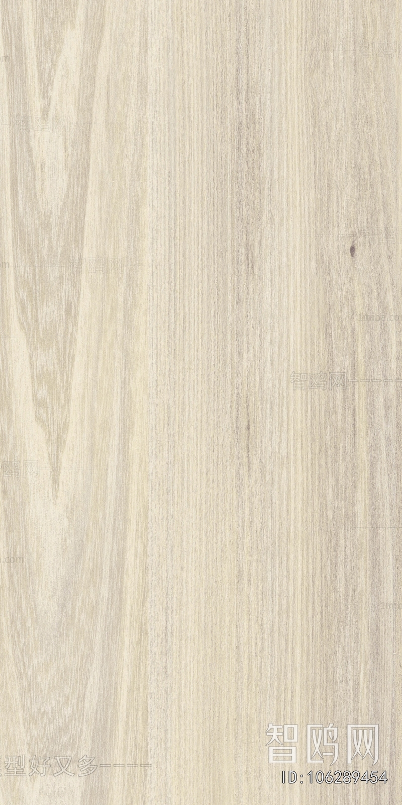 Wood Texture