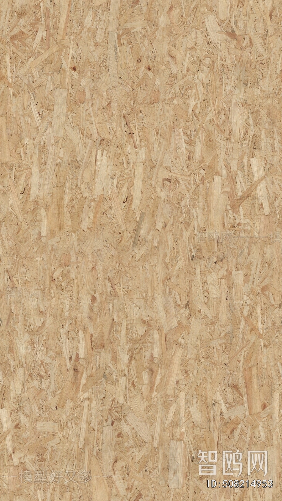Plywood Texture