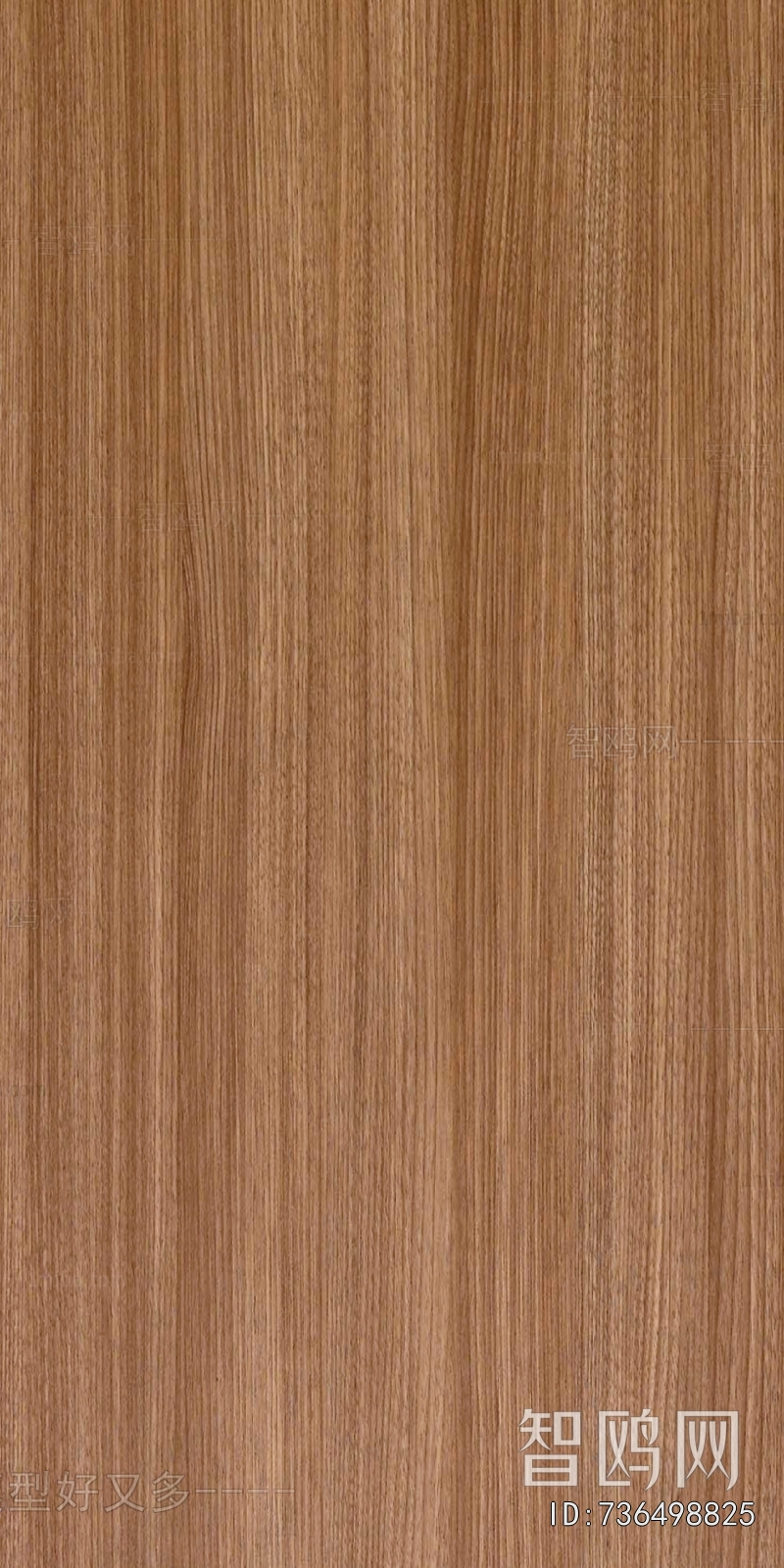 Wood Texture