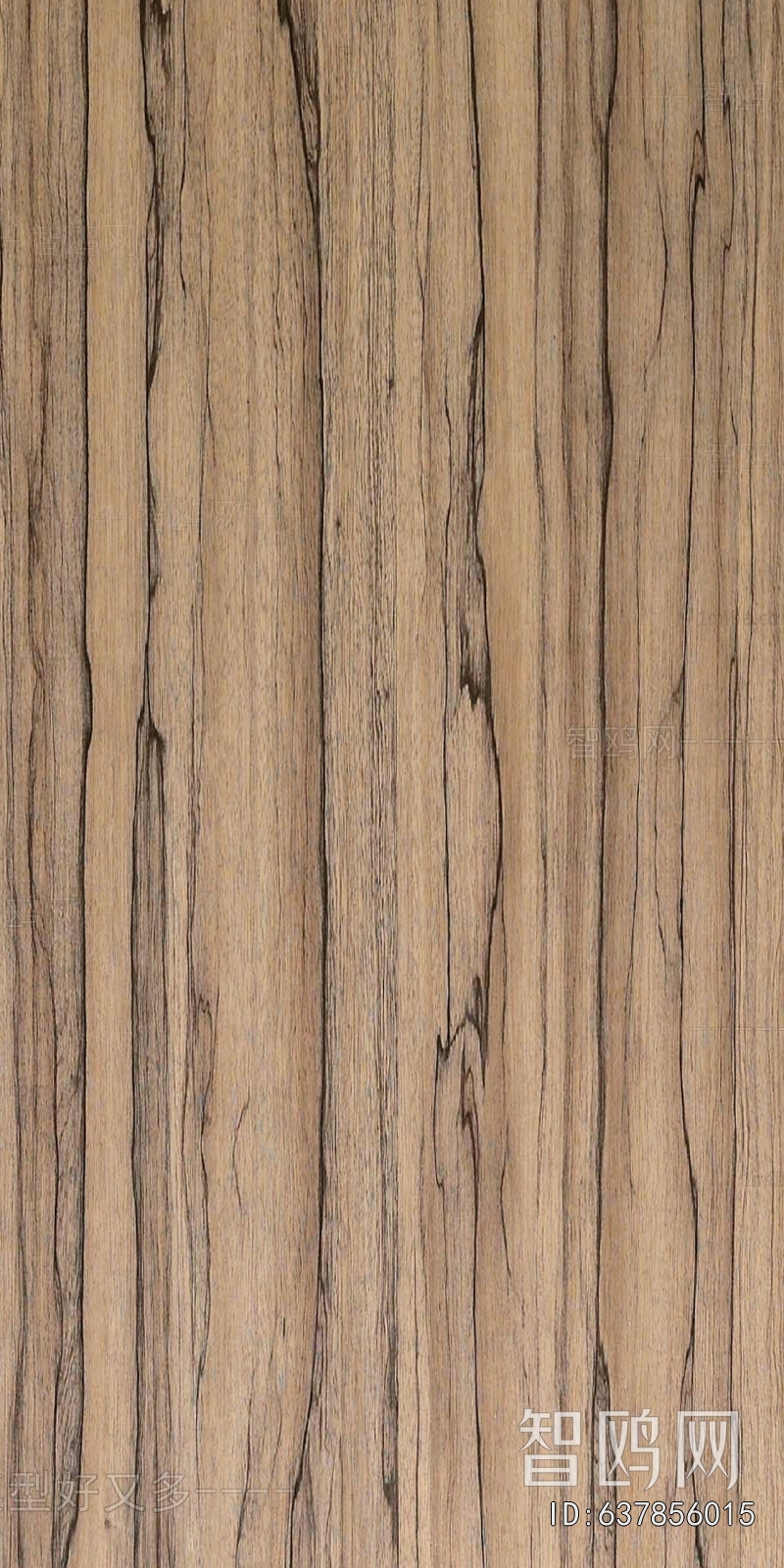 Wood Texture