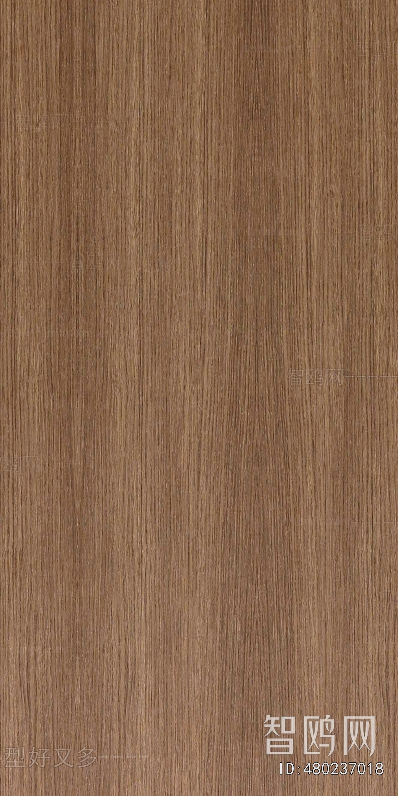 Wood Texture