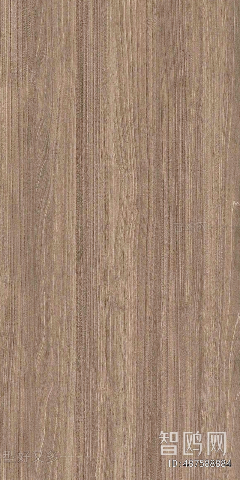Wood Texture