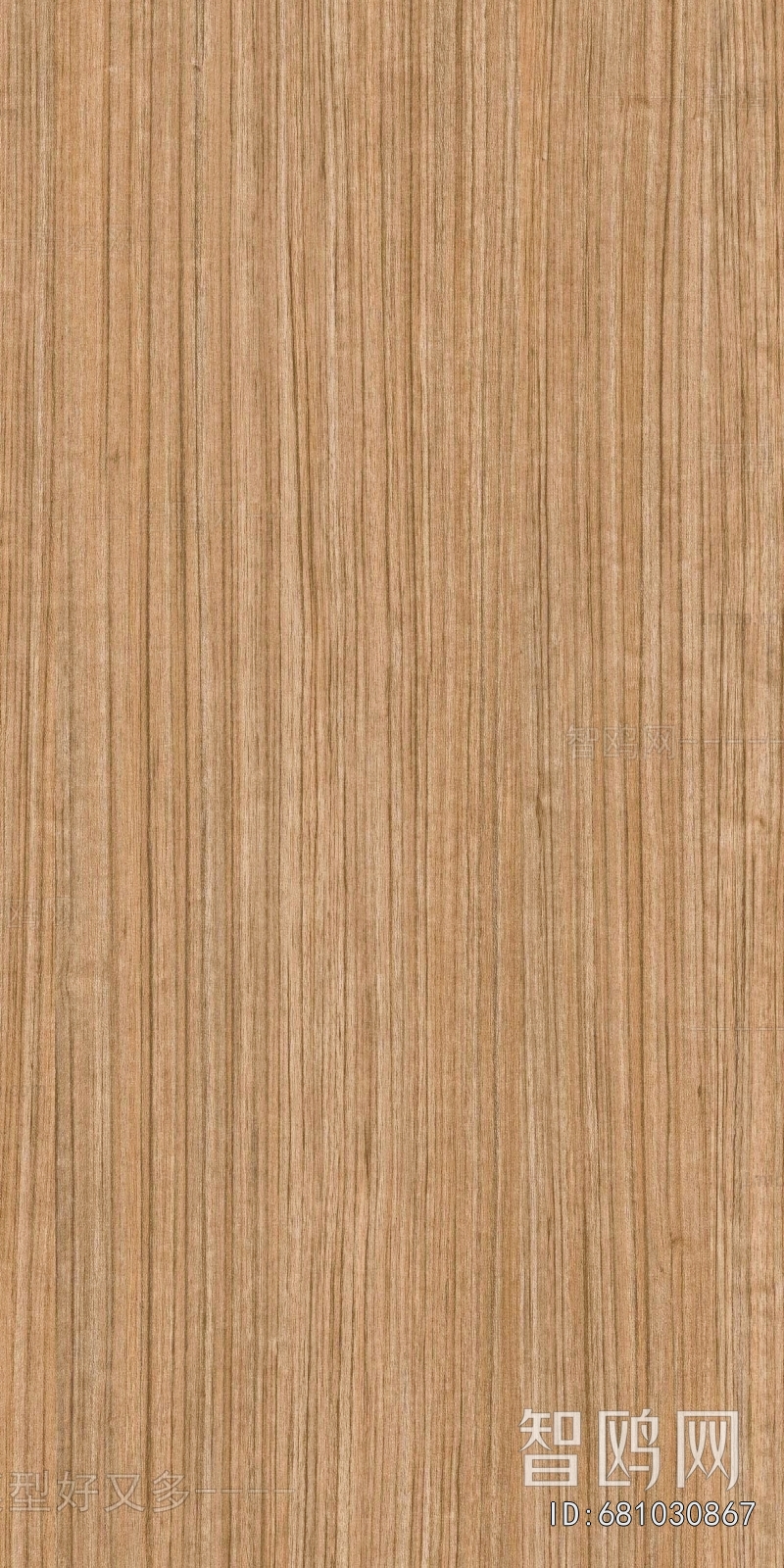 Wood Texture