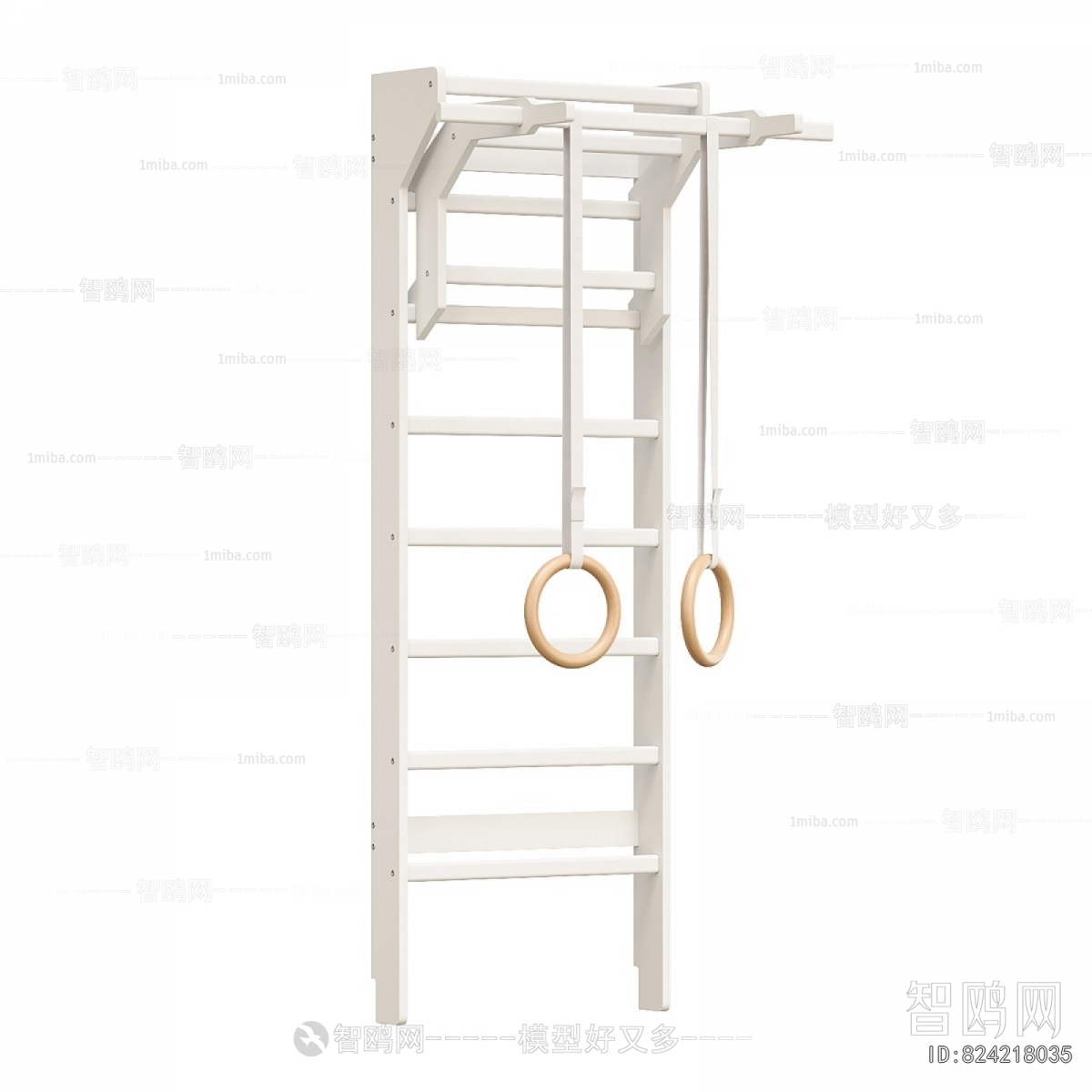 Modern Fitness Equipment