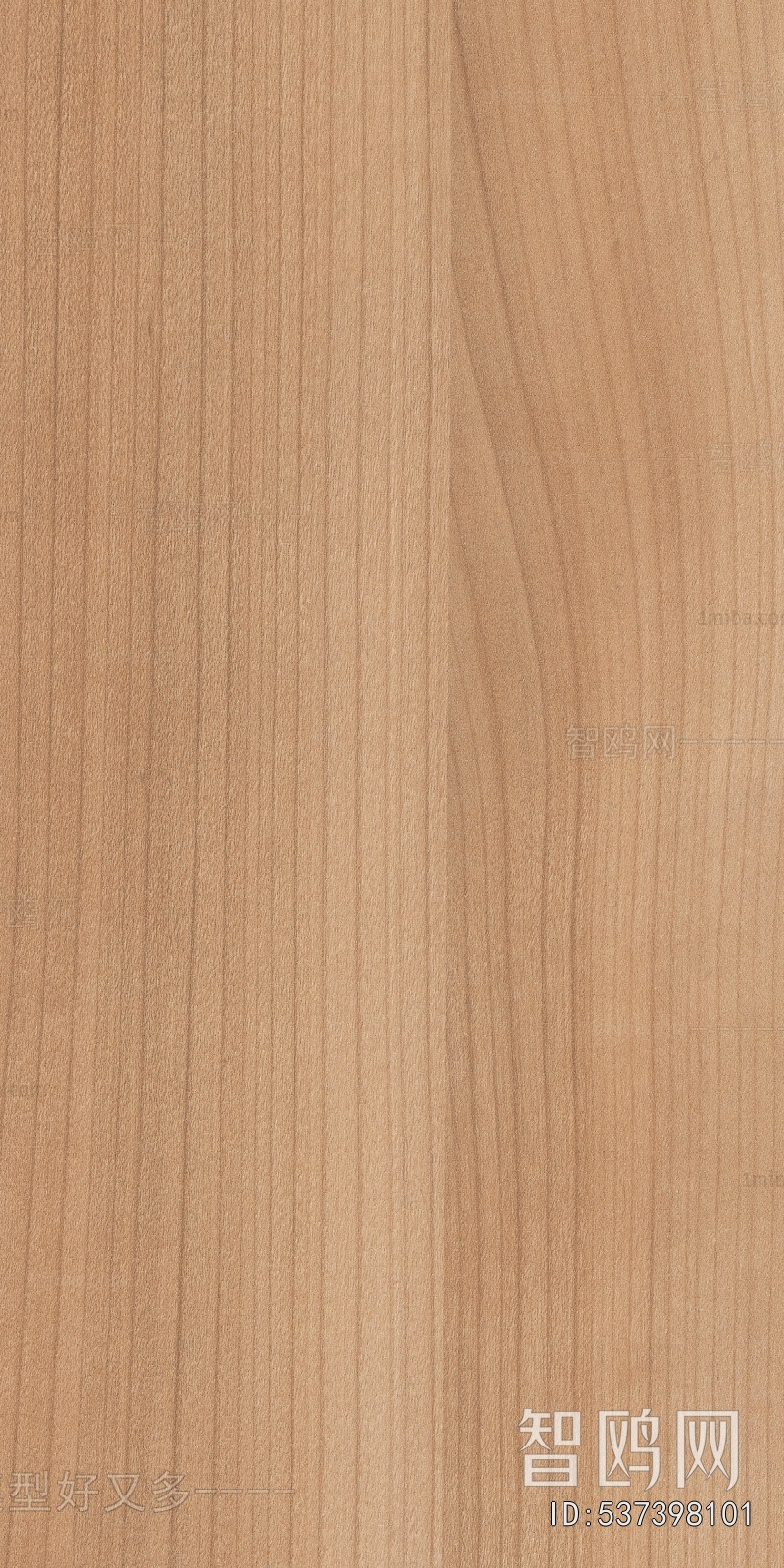 Wood Texture