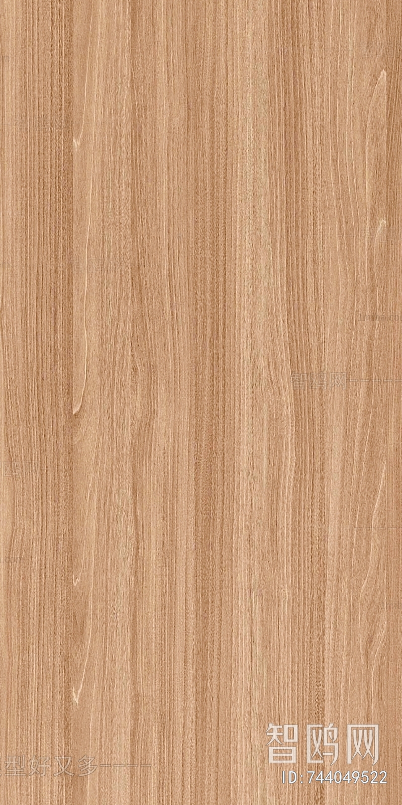 Wood Texture