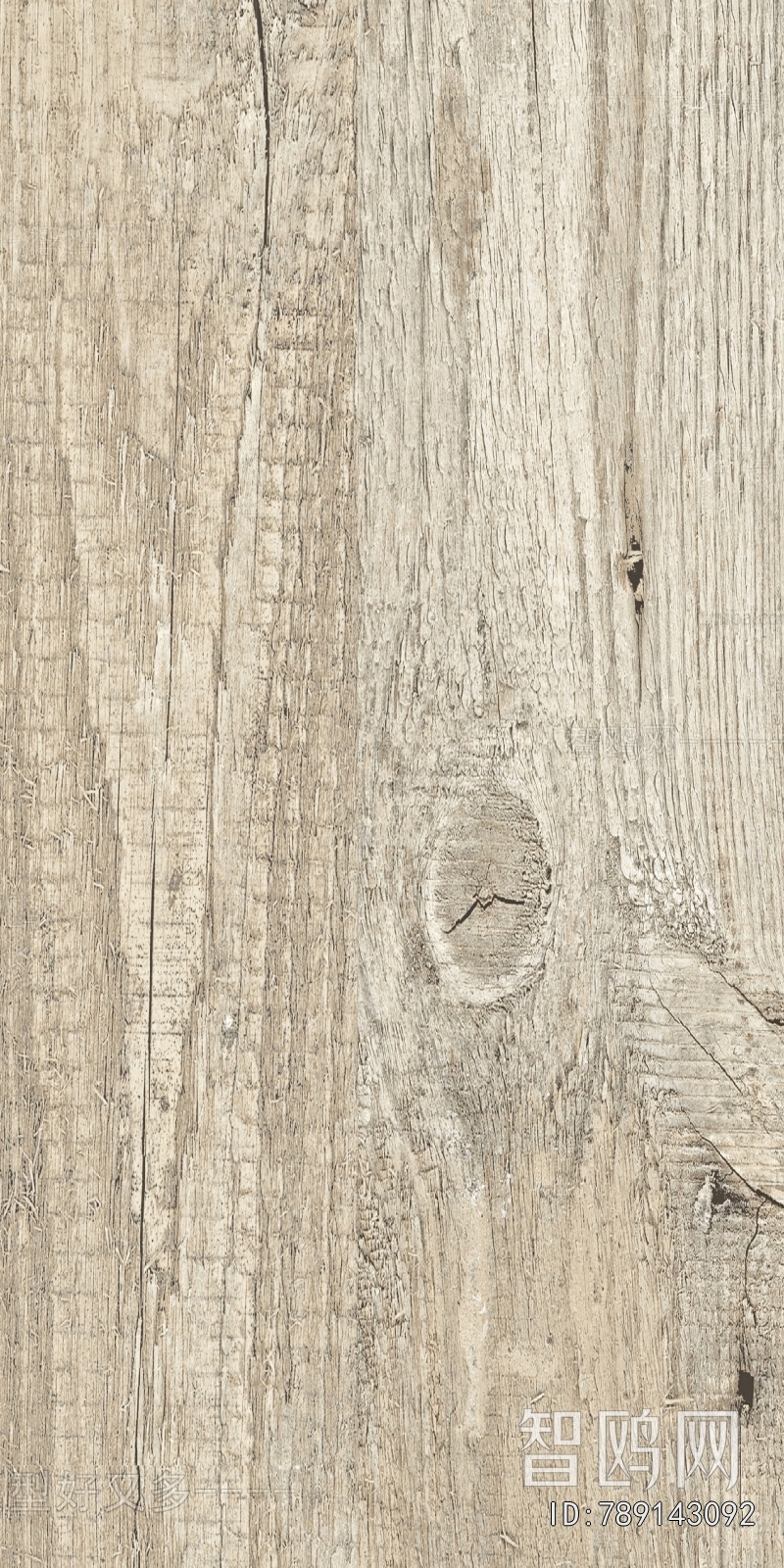 Wood Texture