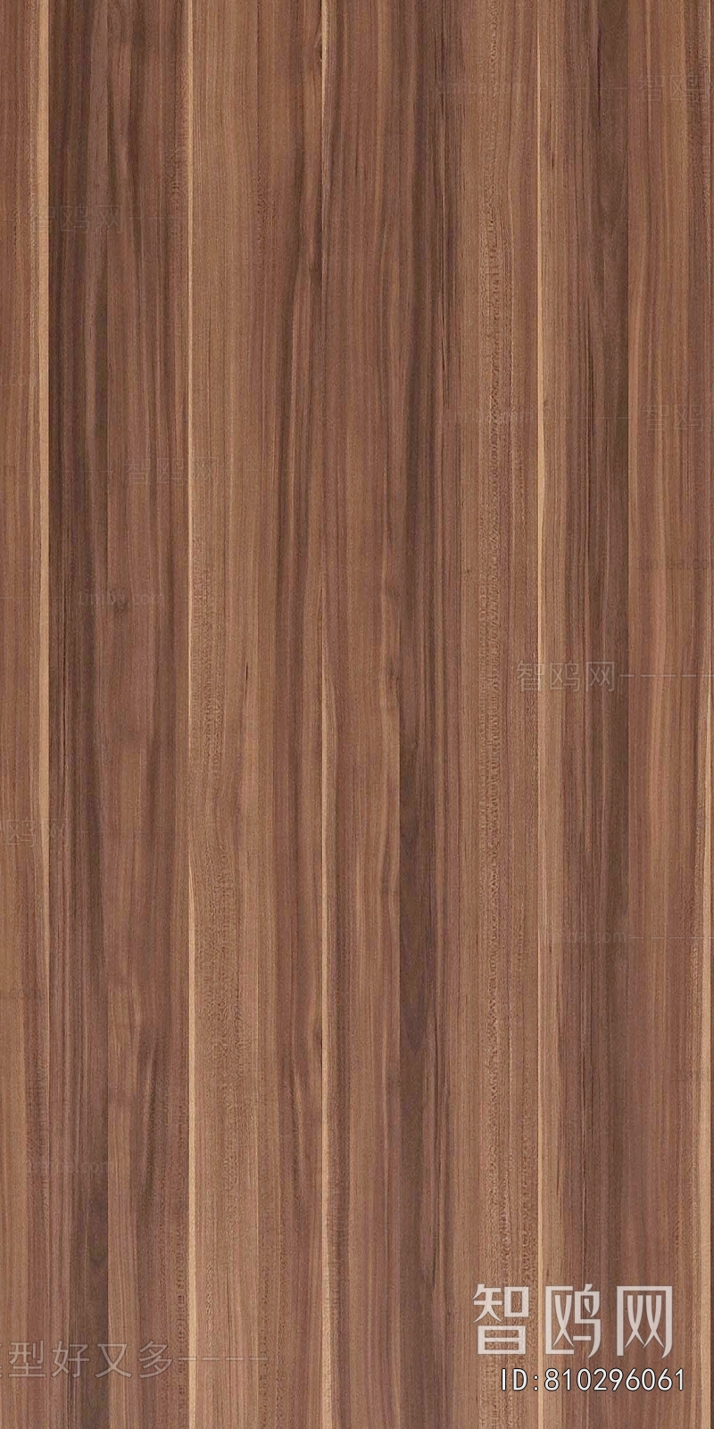 Wood Texture