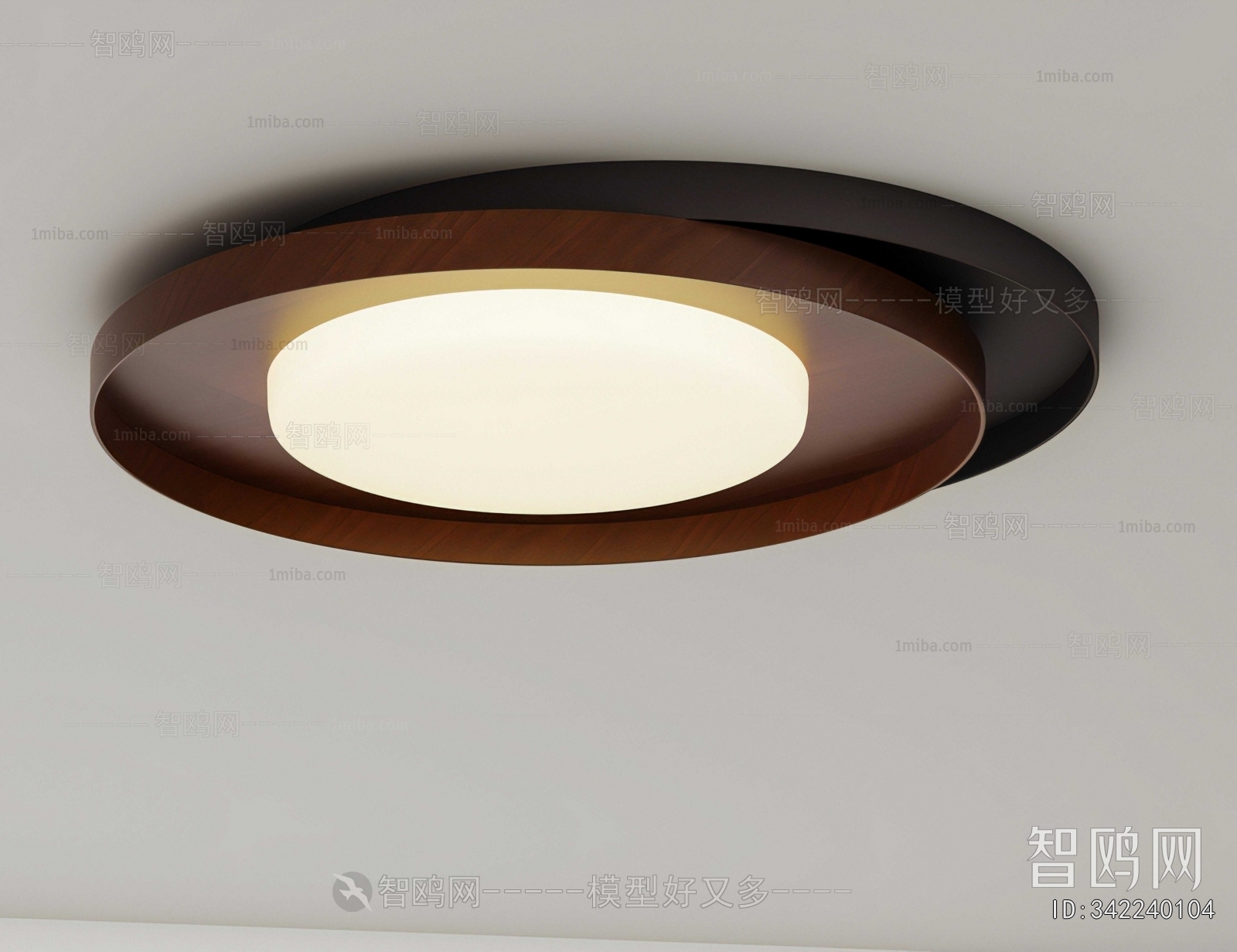 Modern Ceiling Ceiling Lamp