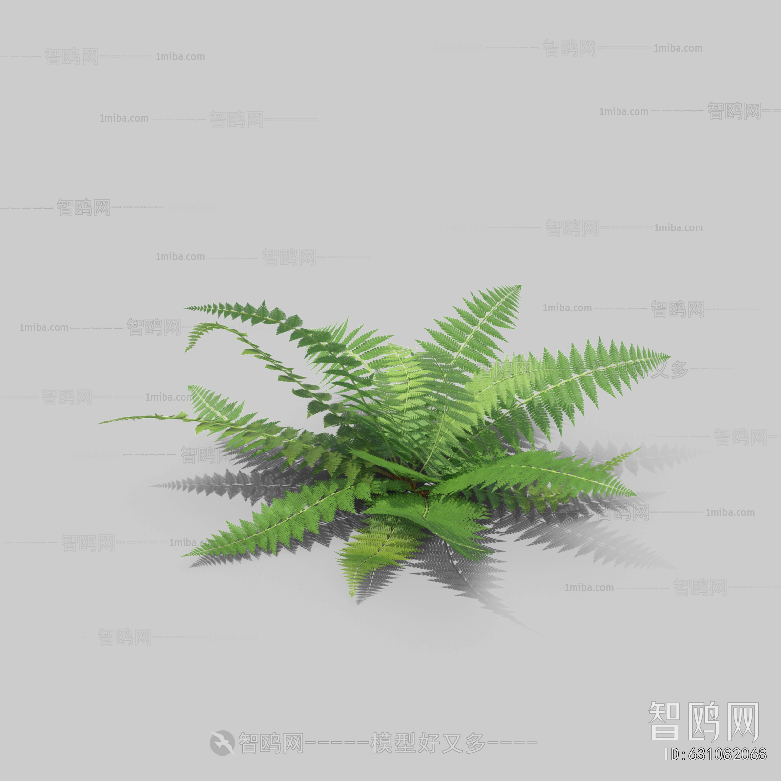 Plant Leaves
