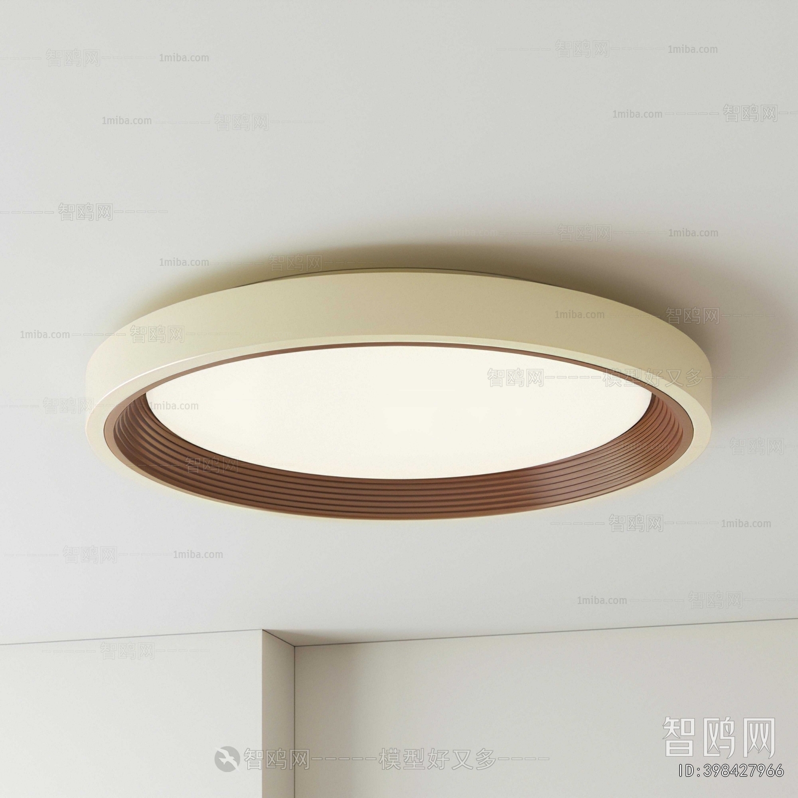 Modern Ceiling Ceiling Lamp