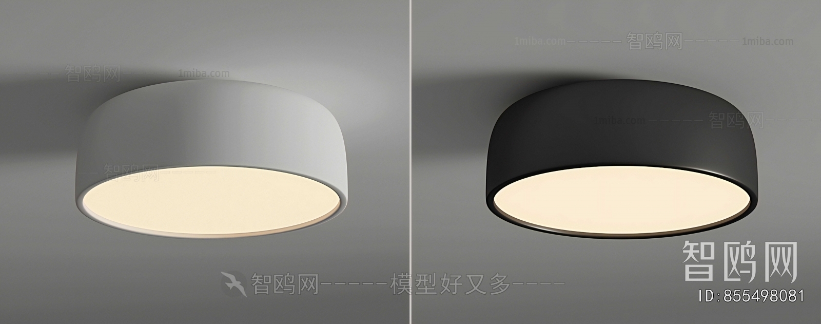 Modern Ceiling Ceiling Lamp