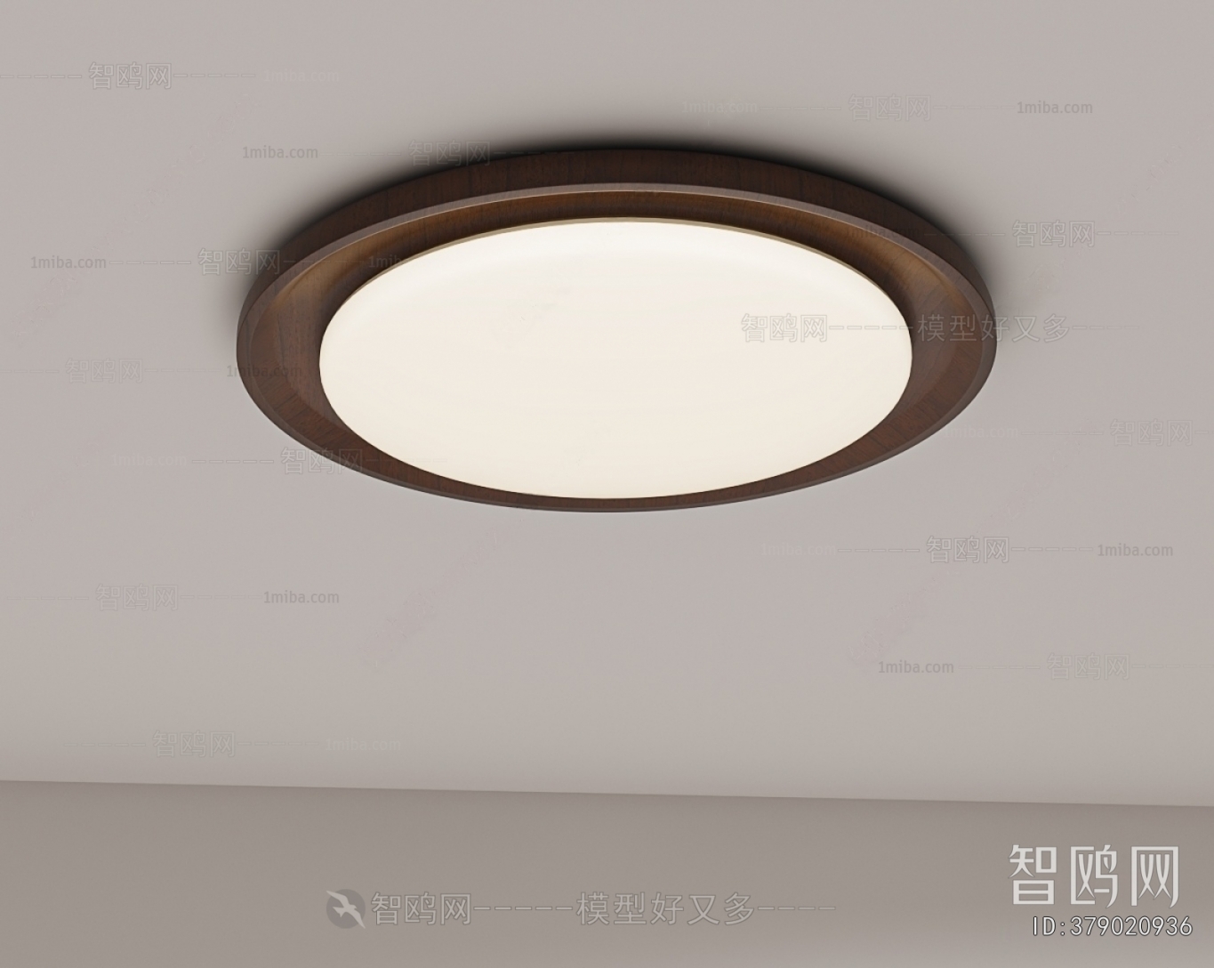 Modern Ceiling Ceiling Lamp