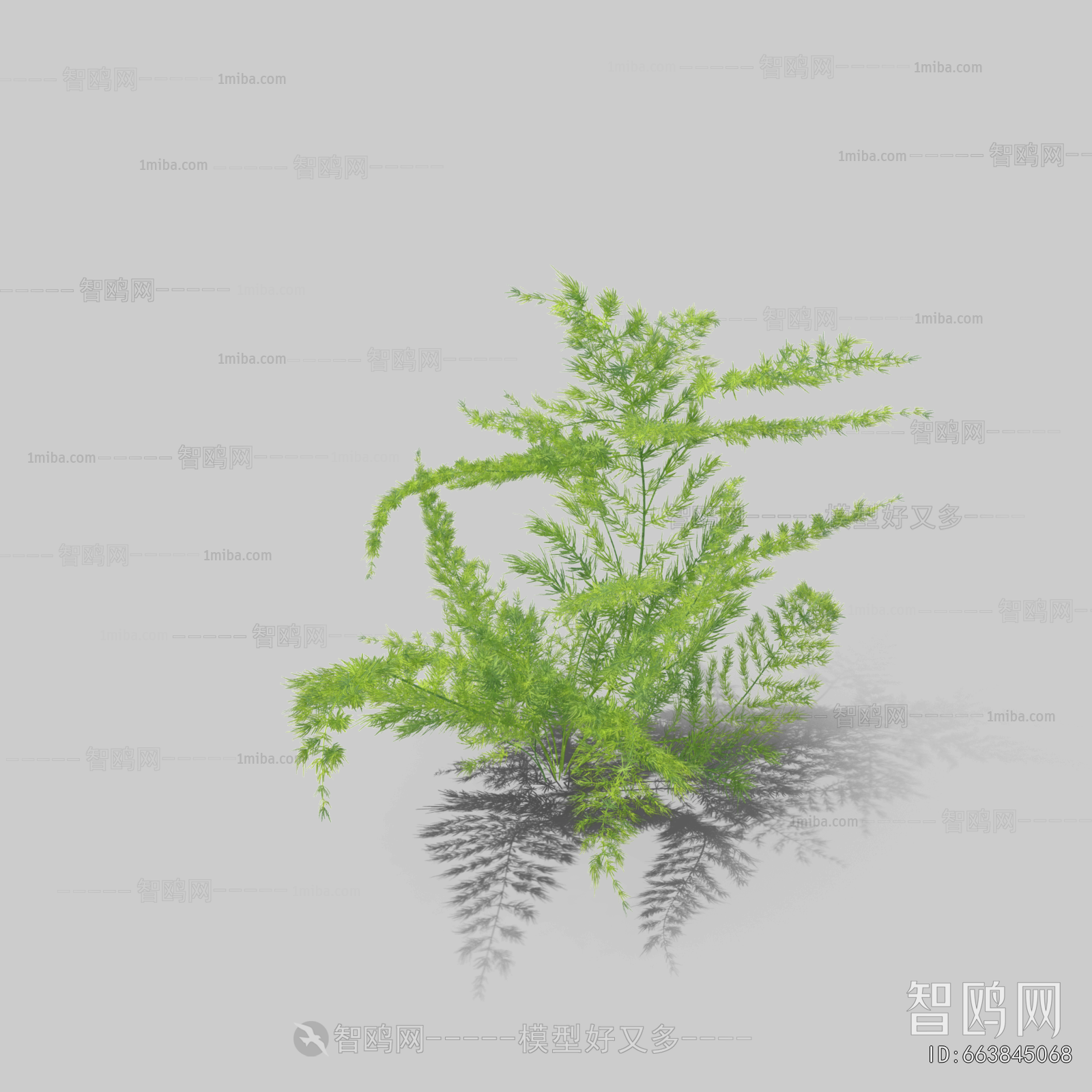 Plant Leaves