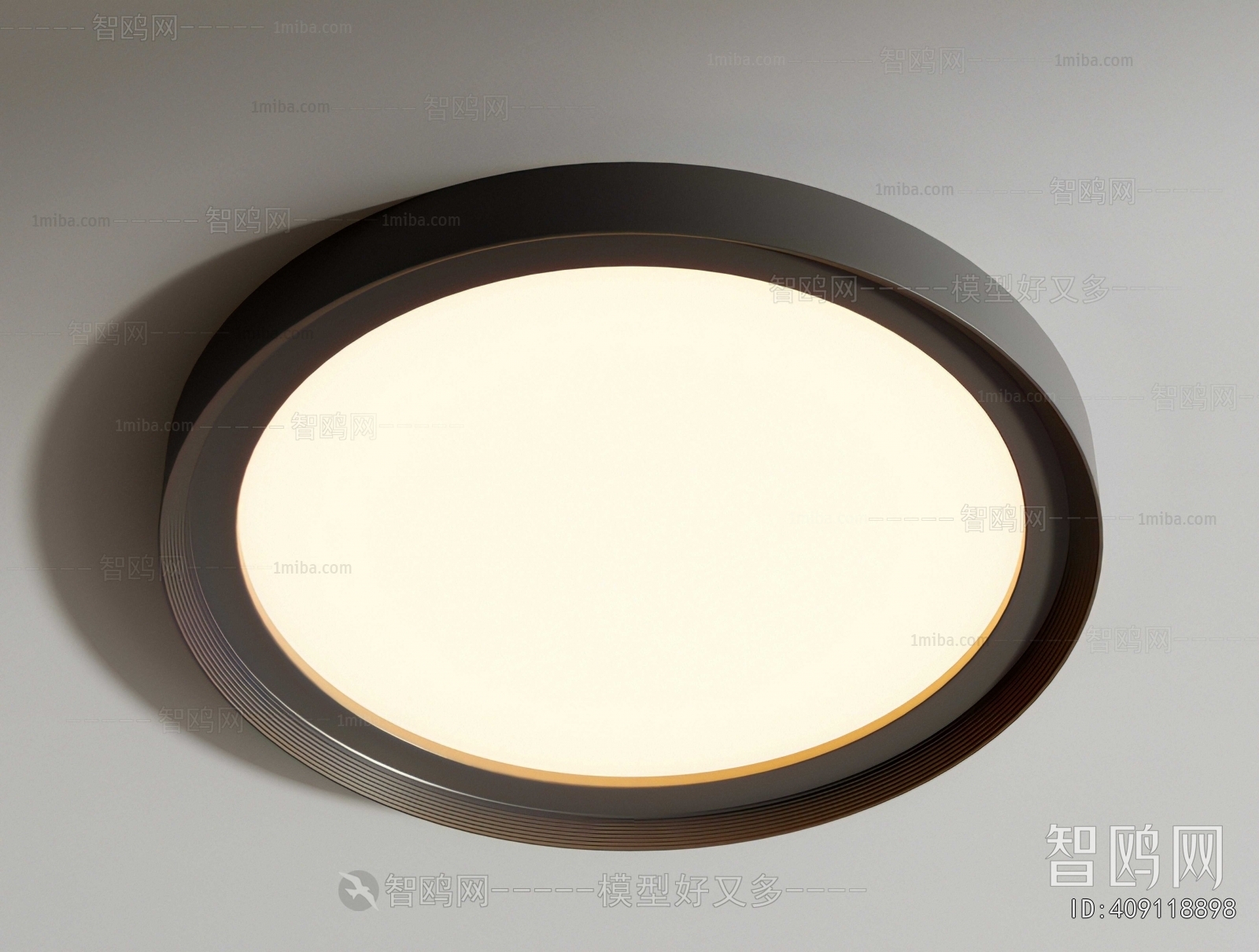 Modern Ceiling Ceiling Lamp