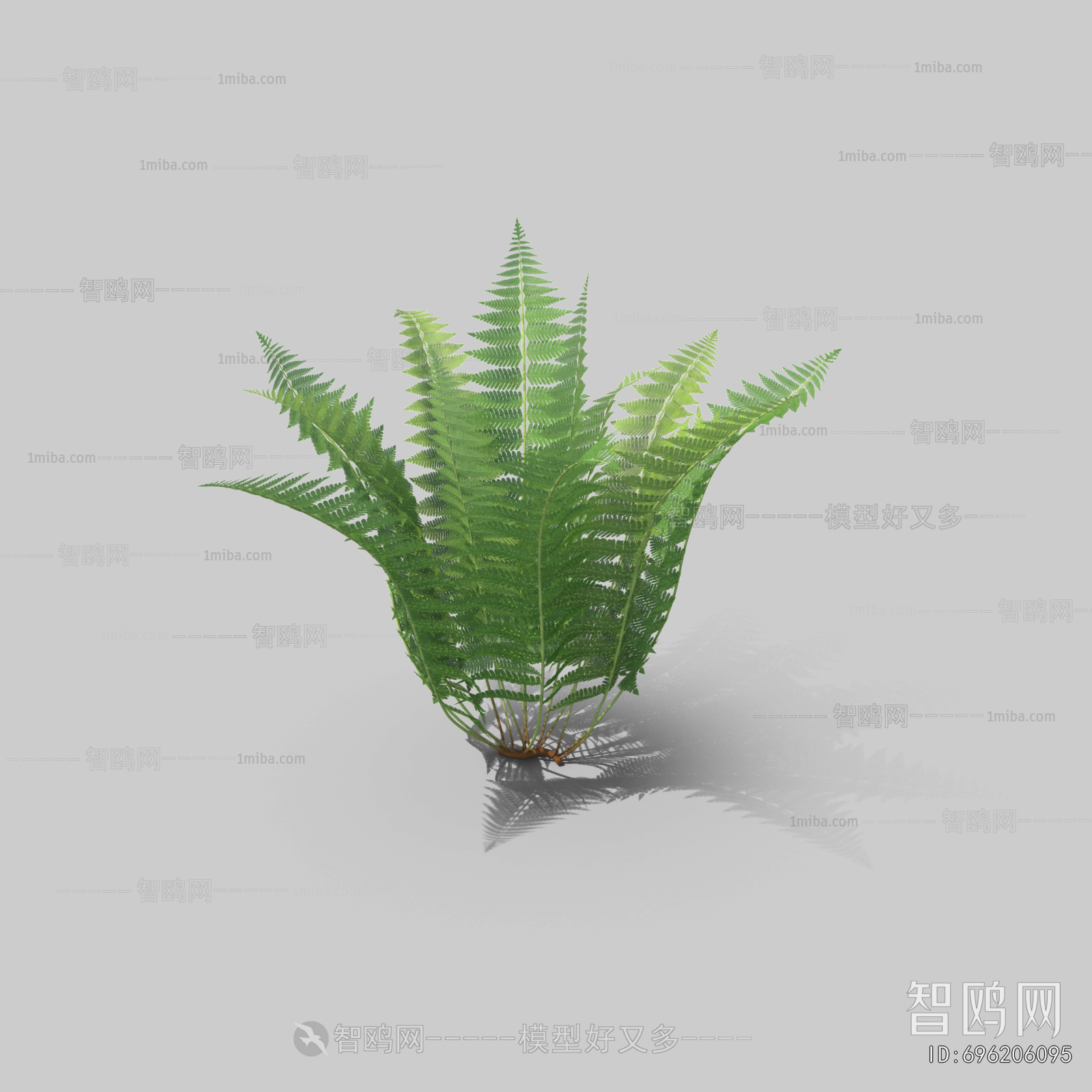 Plant Leaves