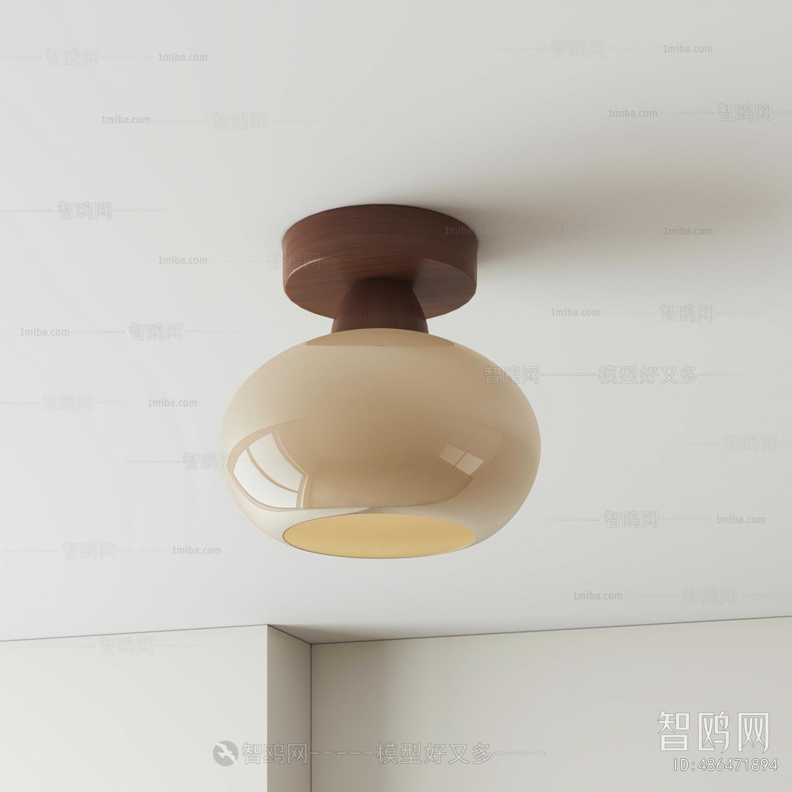 Modern Ceiling Ceiling Lamp