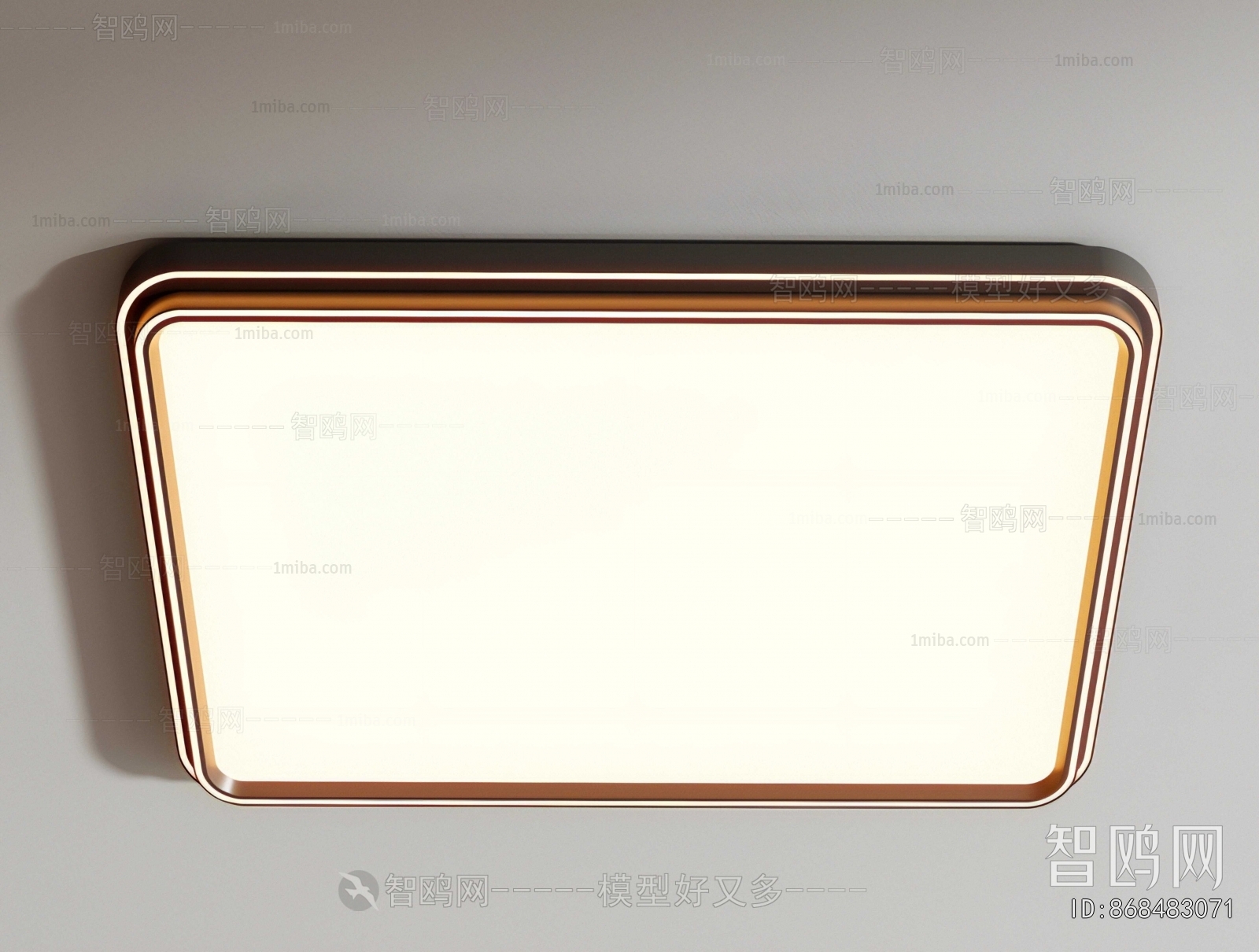 Modern Ceiling Ceiling Lamp