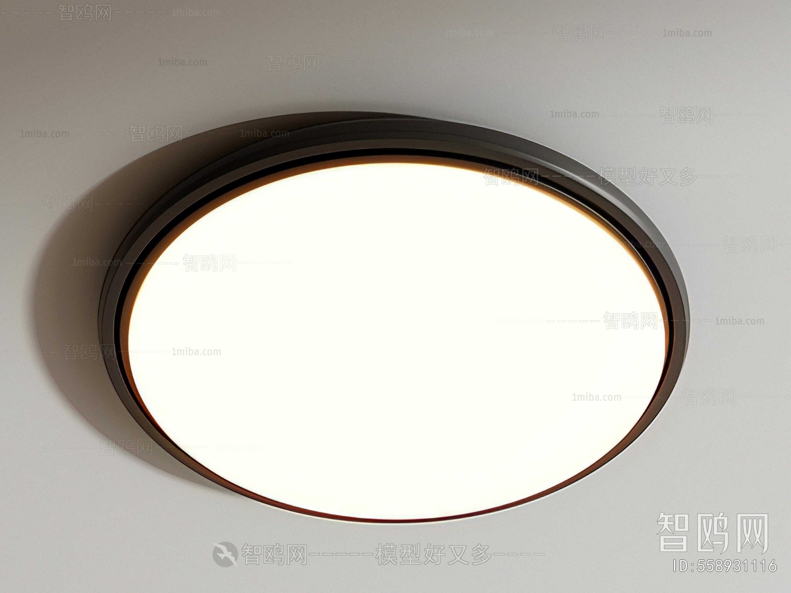 Modern Ceiling Ceiling Lamp