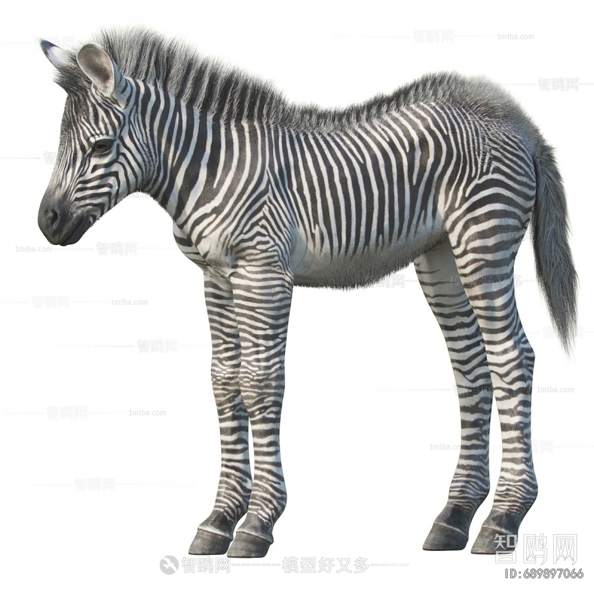 Modern Animal Horse