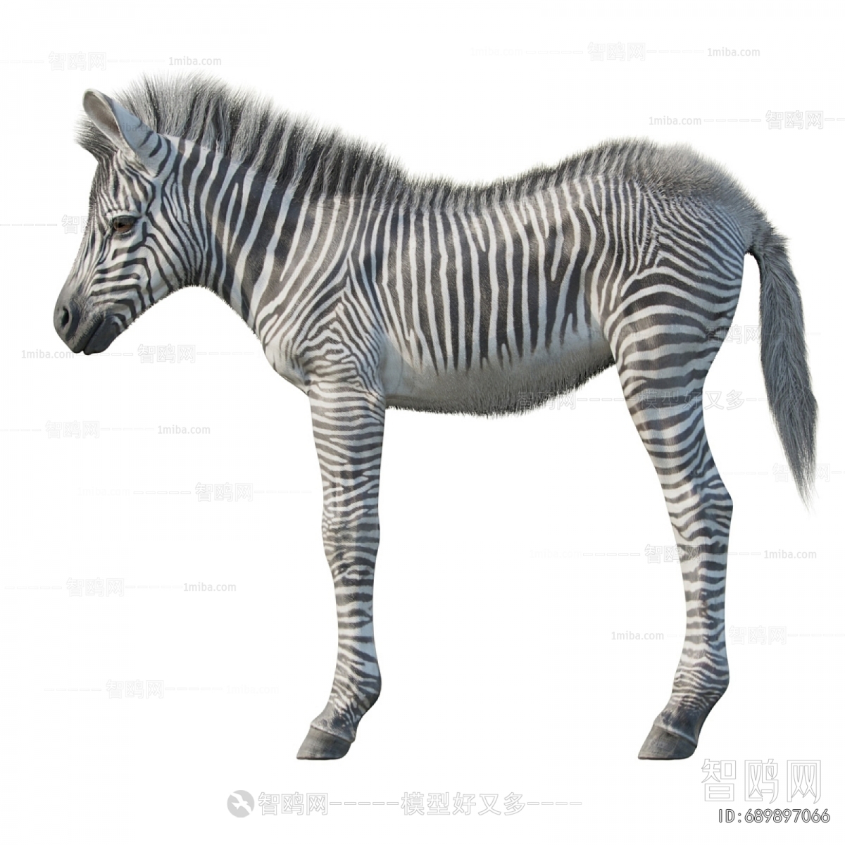 Modern Animal Horse