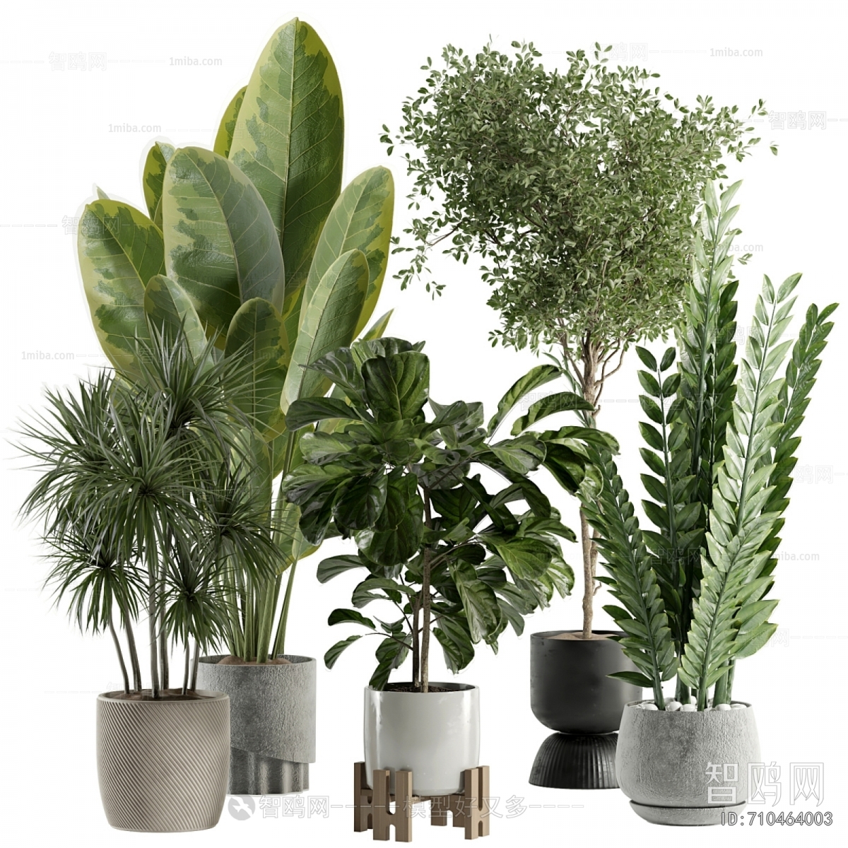 Modern Ground Green Plant Potted Plants