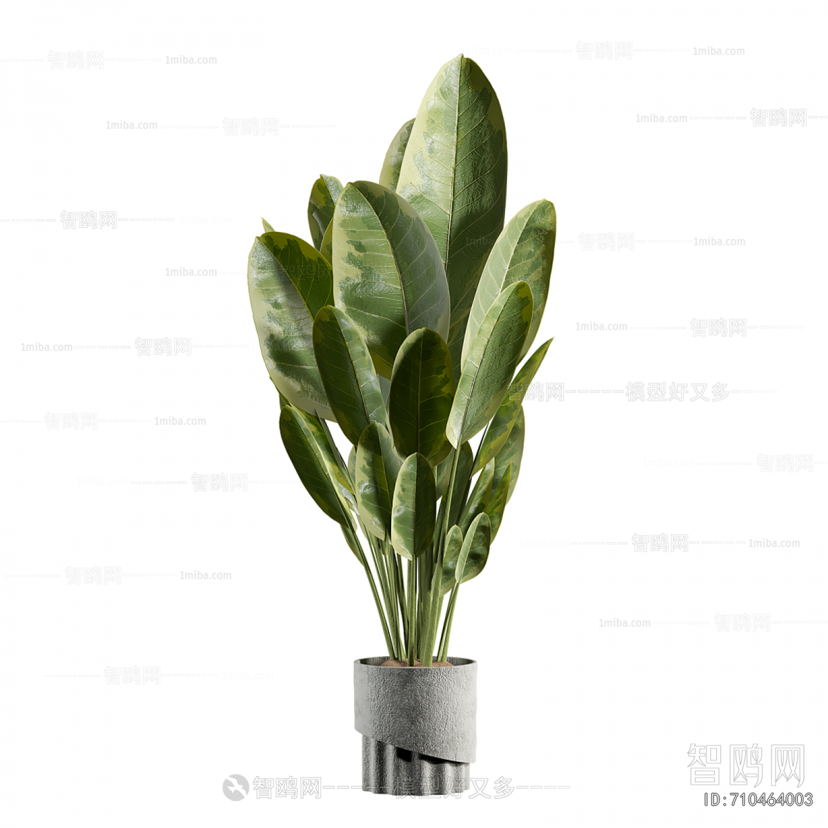 Modern Ground Green Plant Potted Plants