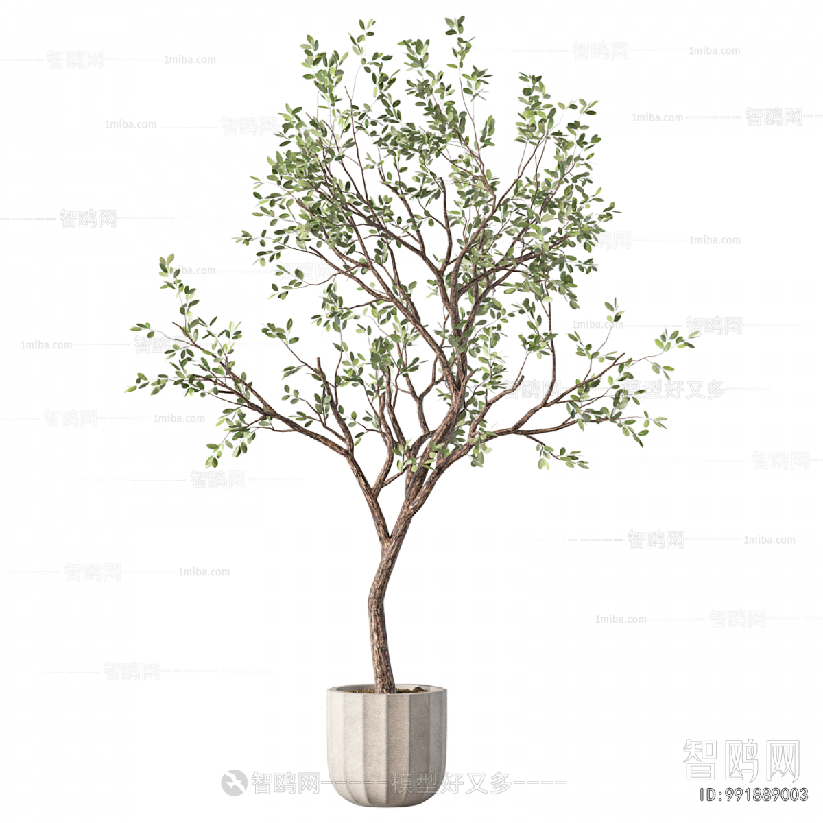Modern Ground Green Plant Potted Plants
