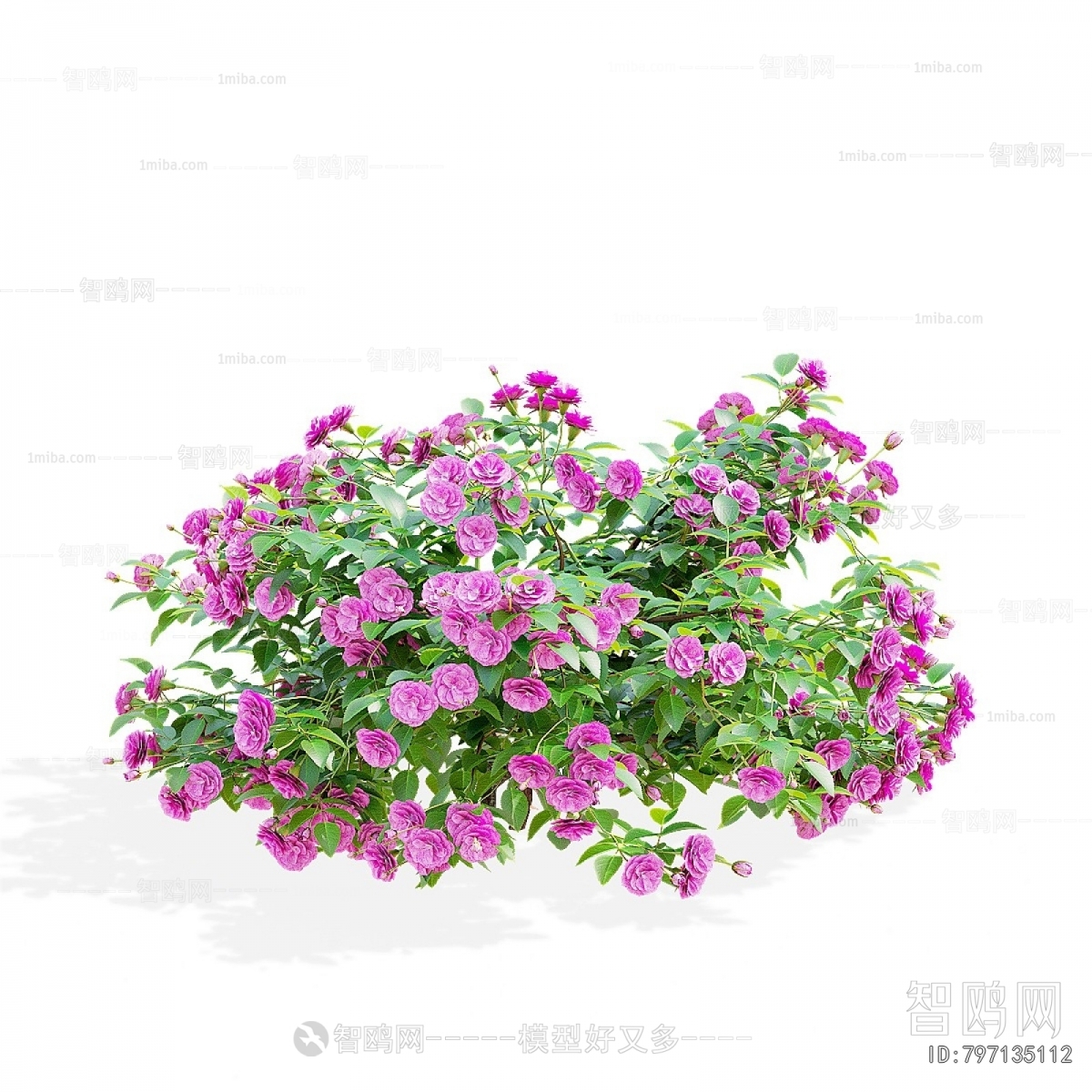 Modern Flowers And Grass