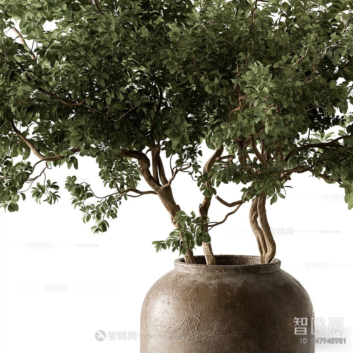 Modern Ground Green Plant Potted Plants